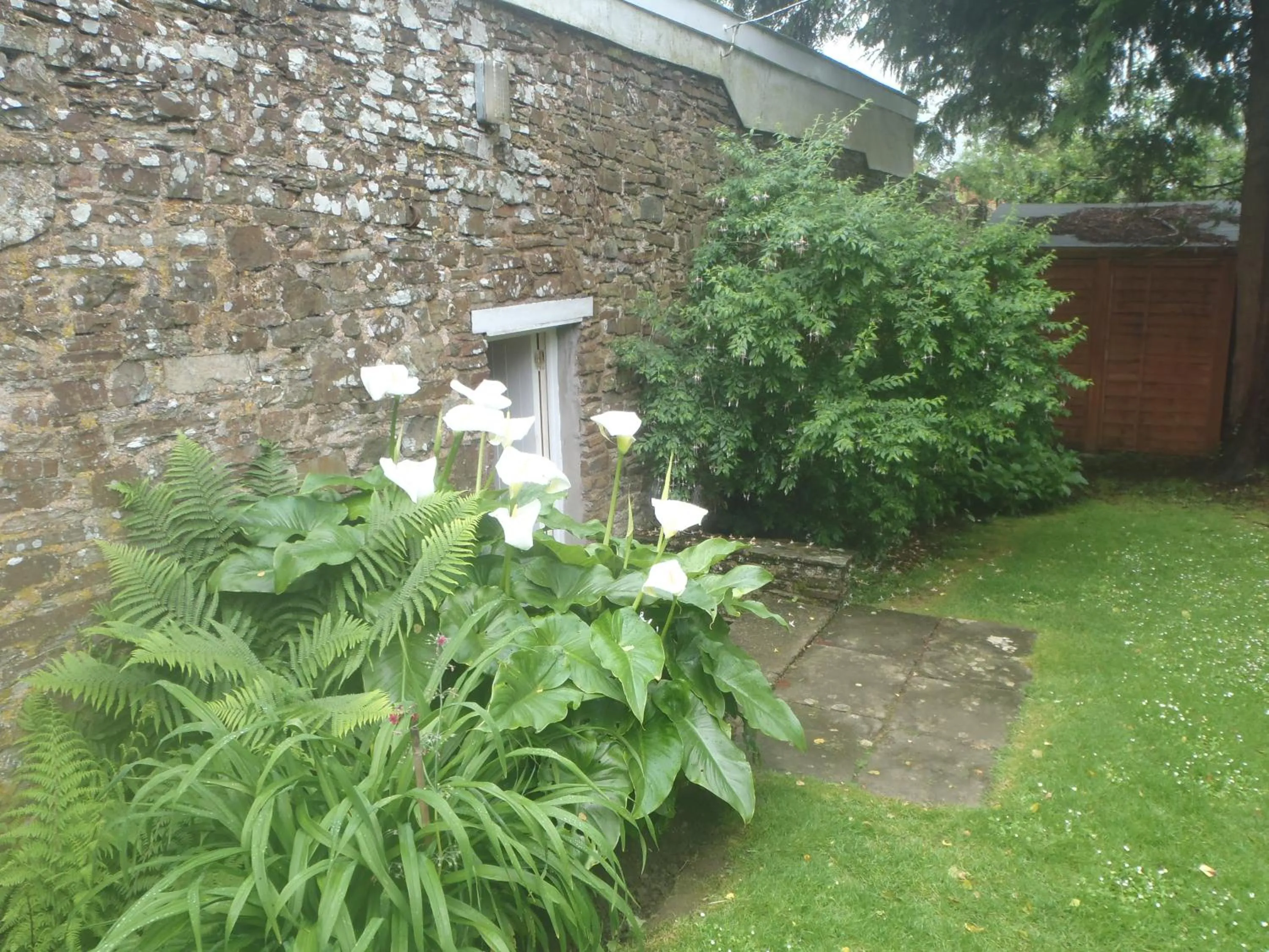 Summer in Kipps Farm