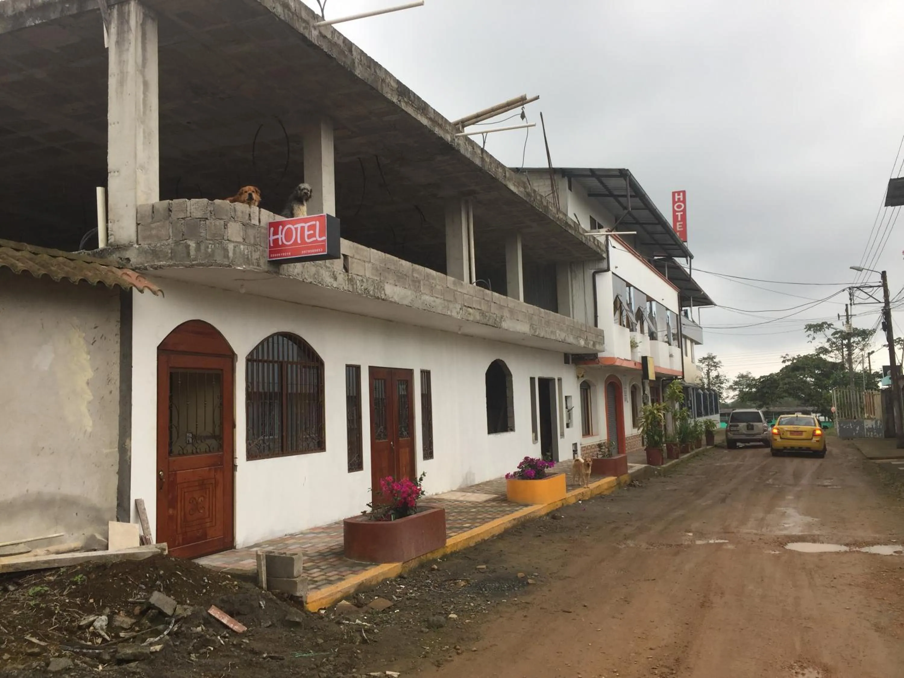 Hotel Flor Del Campo