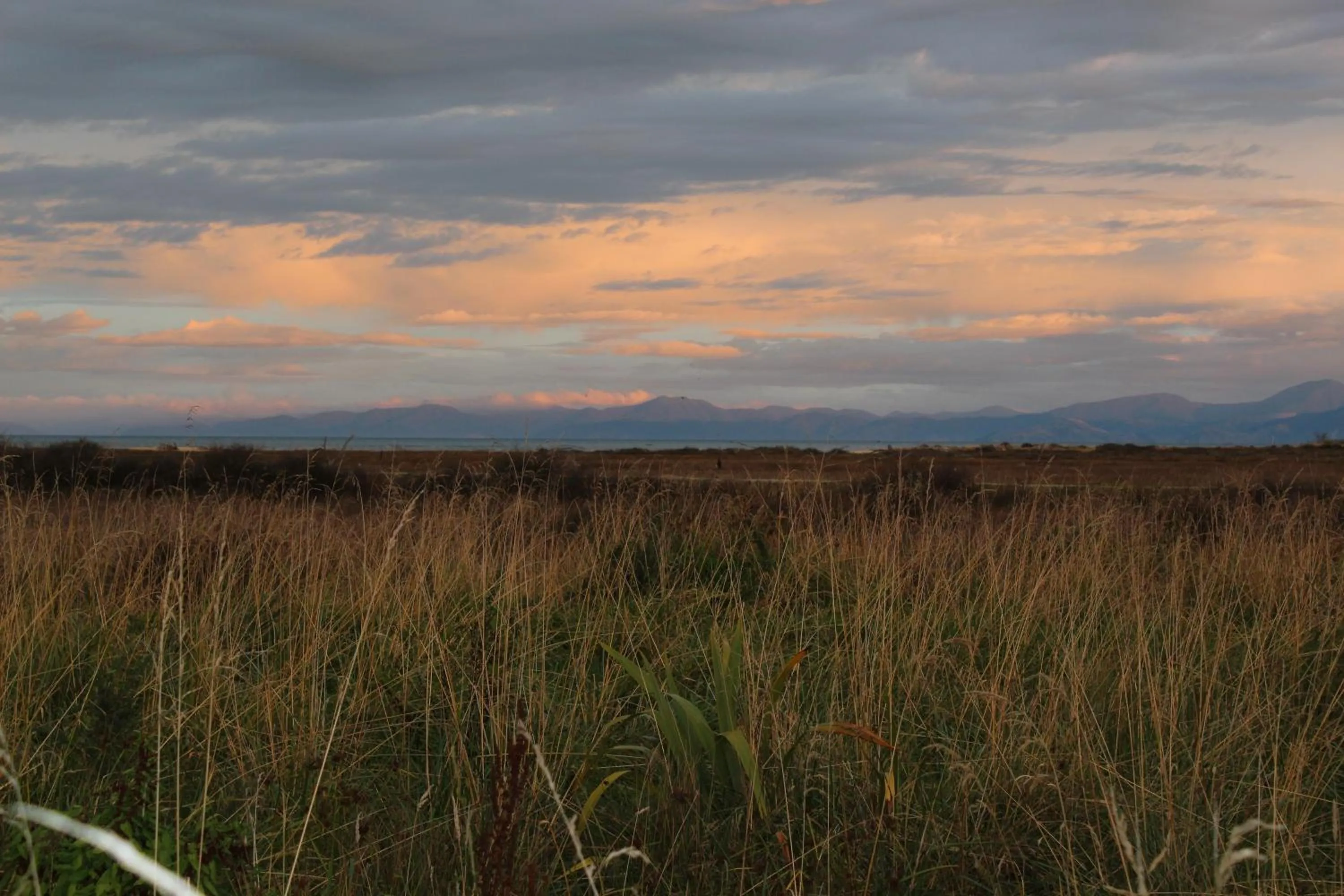 Natural landscape in The Barn Cabins & Camp