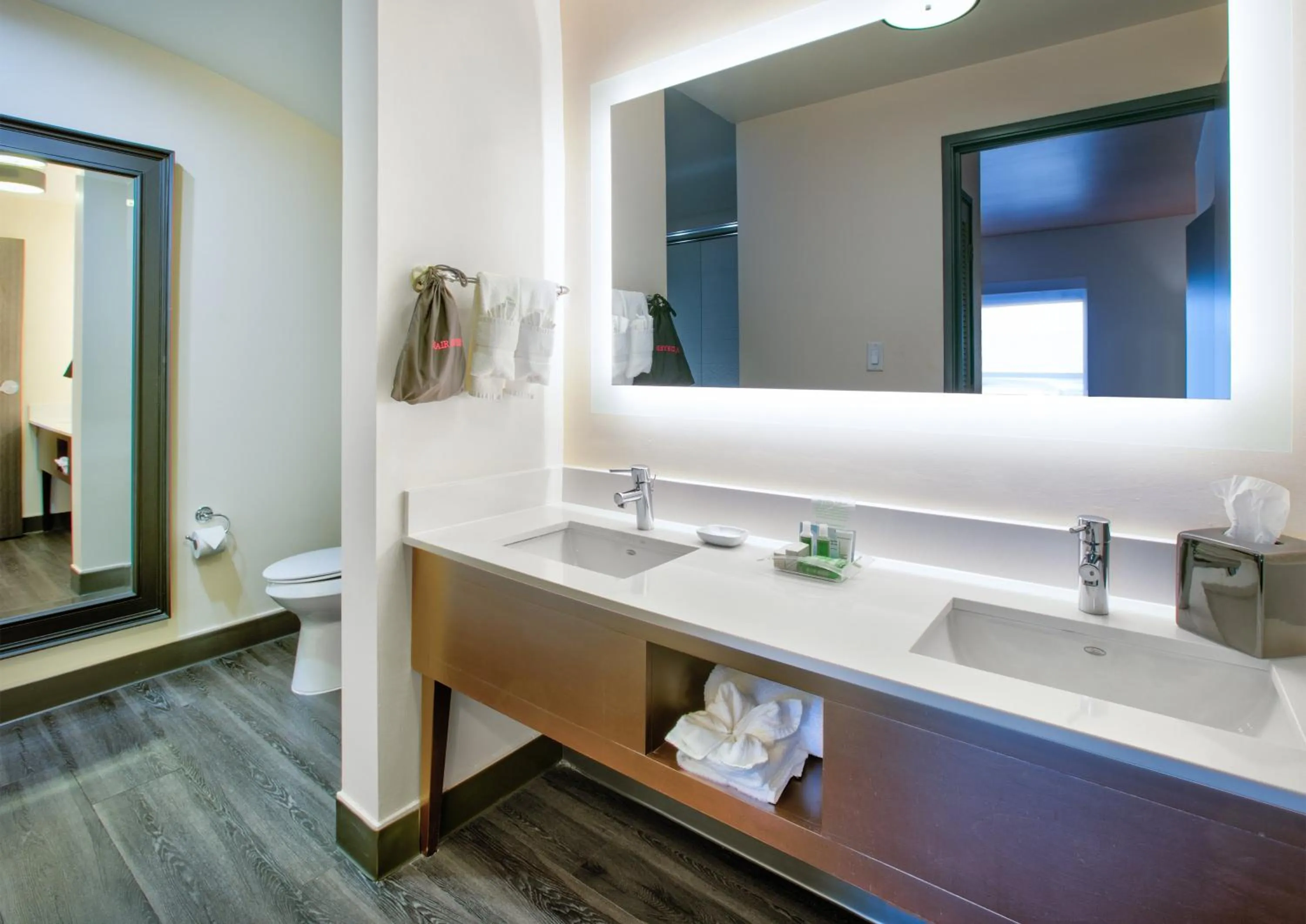 Bathroom in Holiday Inn Dallas - Fort Worth Airport South by IHG