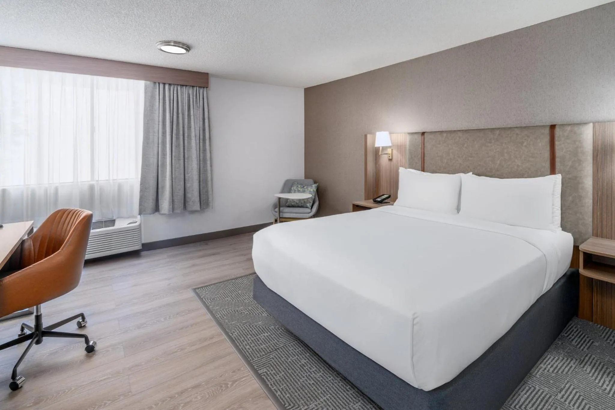 Photo of the whole room, Bed in Holiday Inn Dublin - Pleasanton by IHG