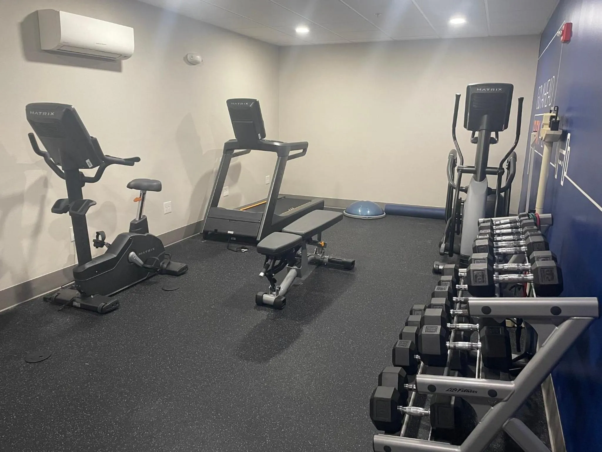 Fitness centre/facilities in Holiday Inn Express Hotel & Suites Kodak East-Sevierville by IHG