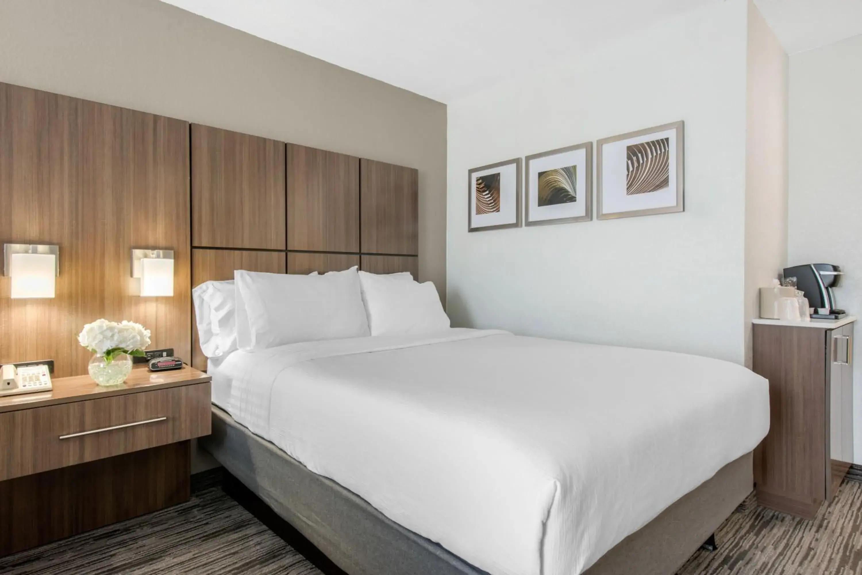 Photo of the whole room, Bed in Holiday Inn Melbourne-Viera Conference Ctr by IHG Photo of the whole room, Bed in Holiday Inn Melbourne-Viera Conference Ctr by IHG