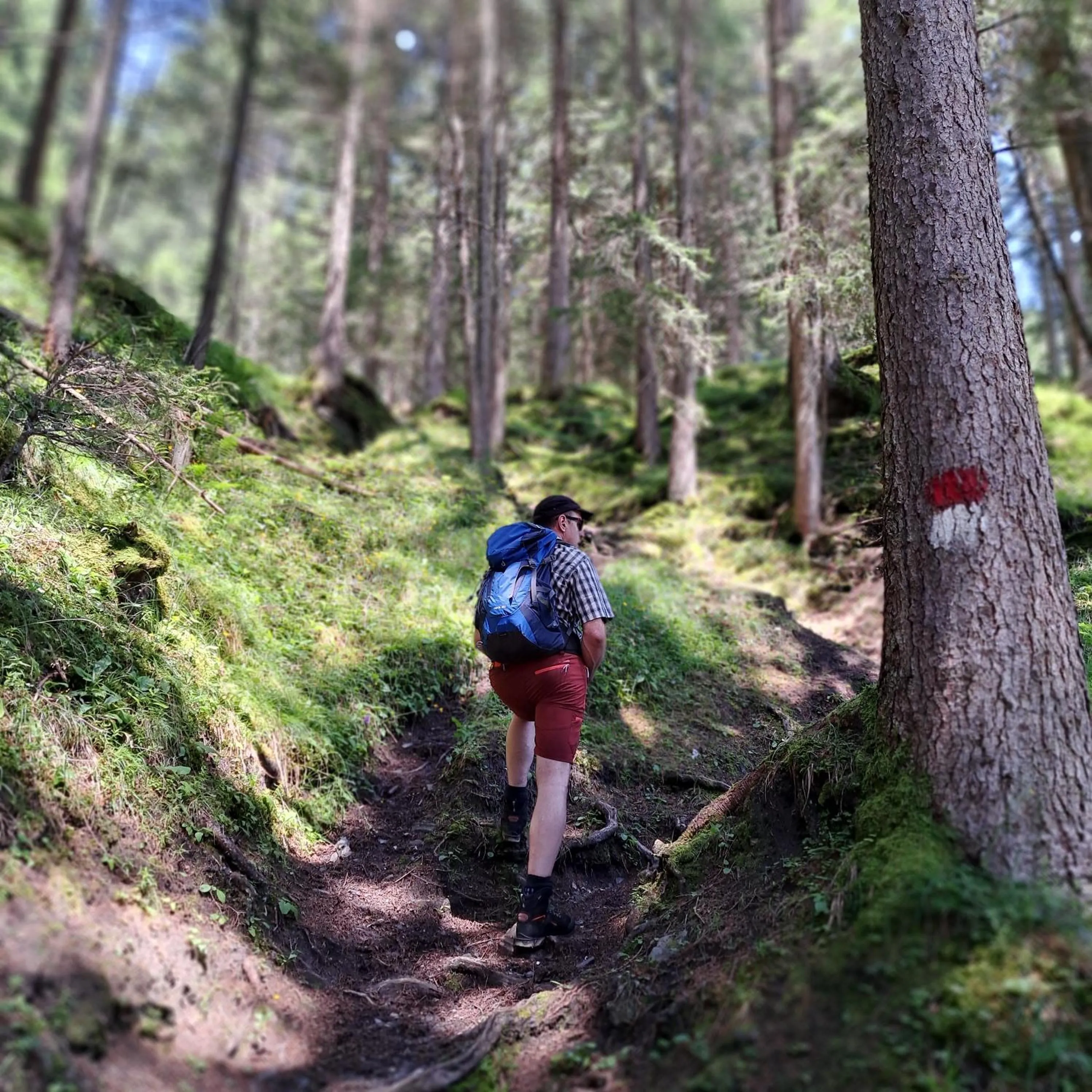 People in Hotel Pinzger Tux