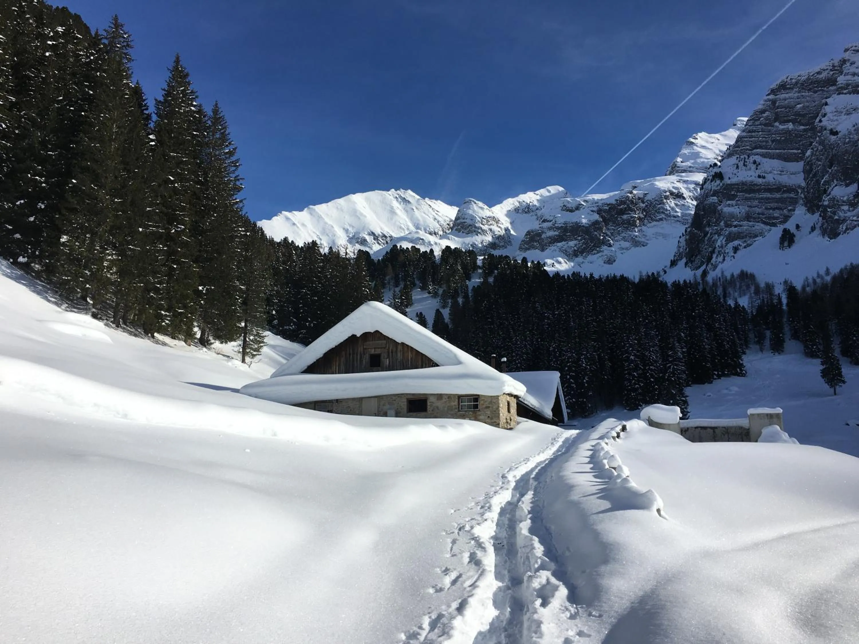 Natural landscape in Hotel Pinzger Tux