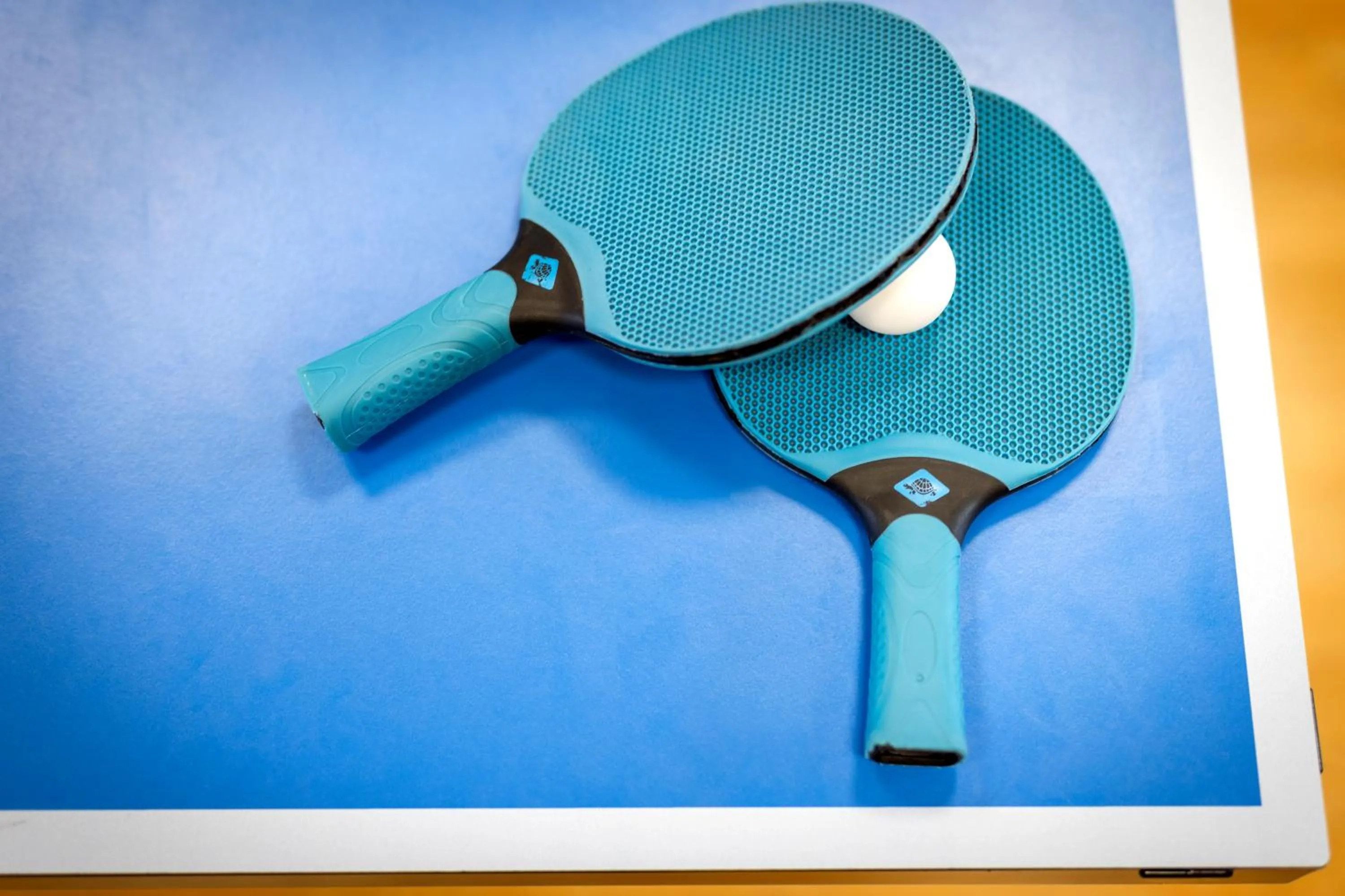 Table tennis in JUFA Hotel Kaprun - Summercard included