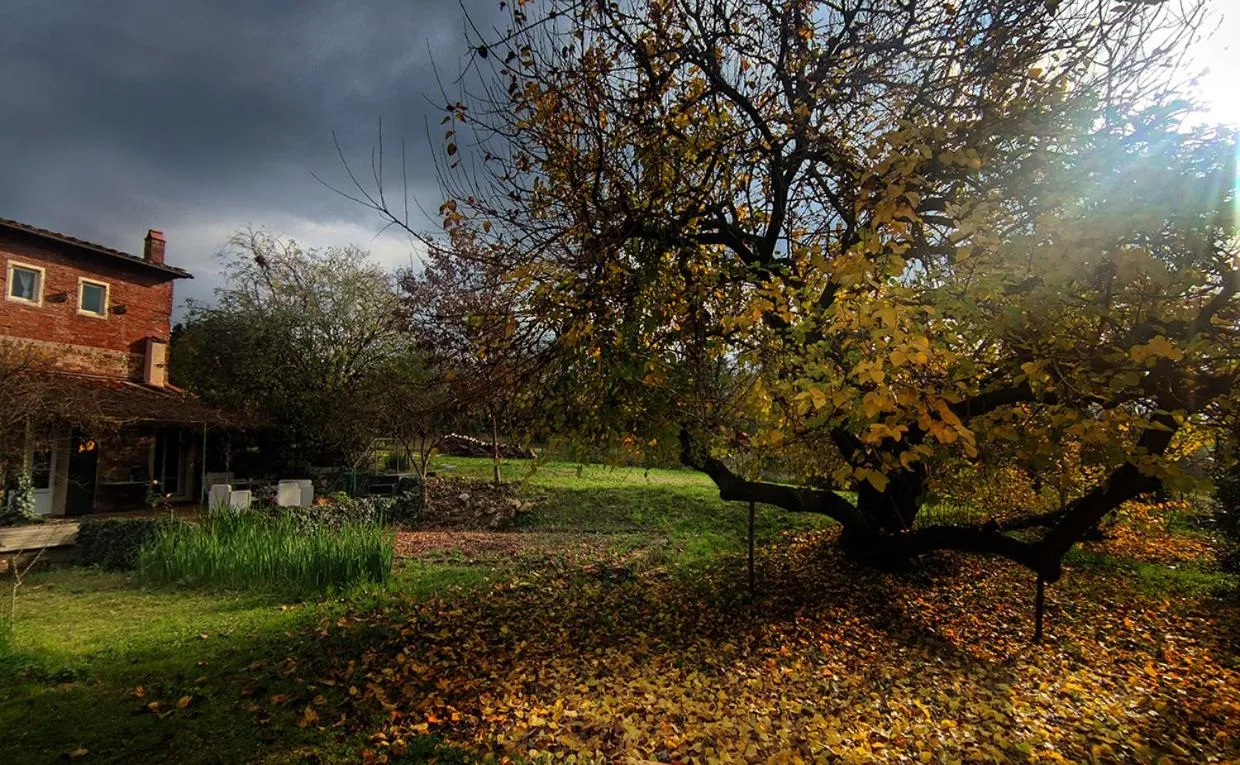 Garden in Il Monasteraccio