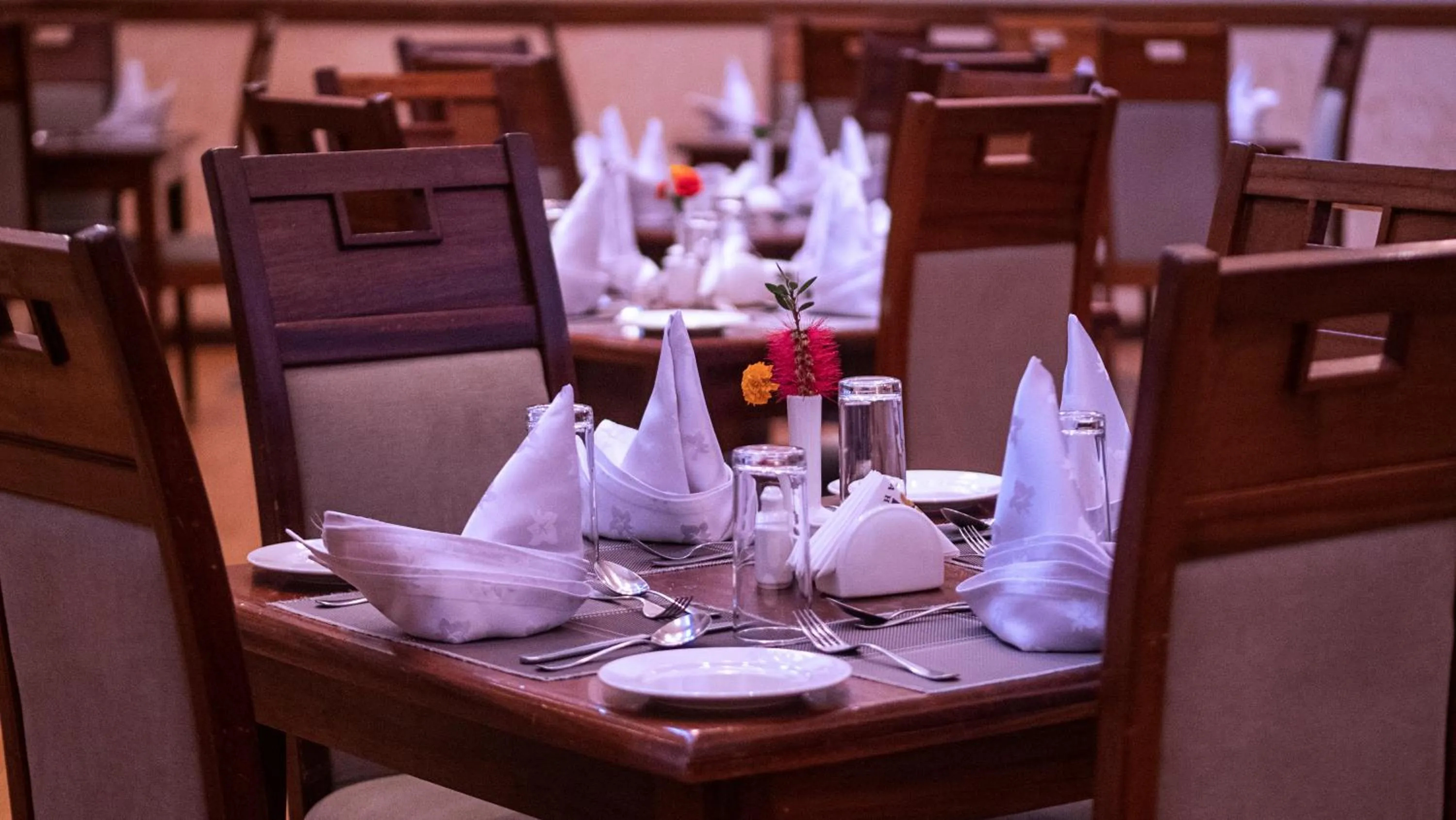 Restaurant/places to eat in Sirikwa Hotel