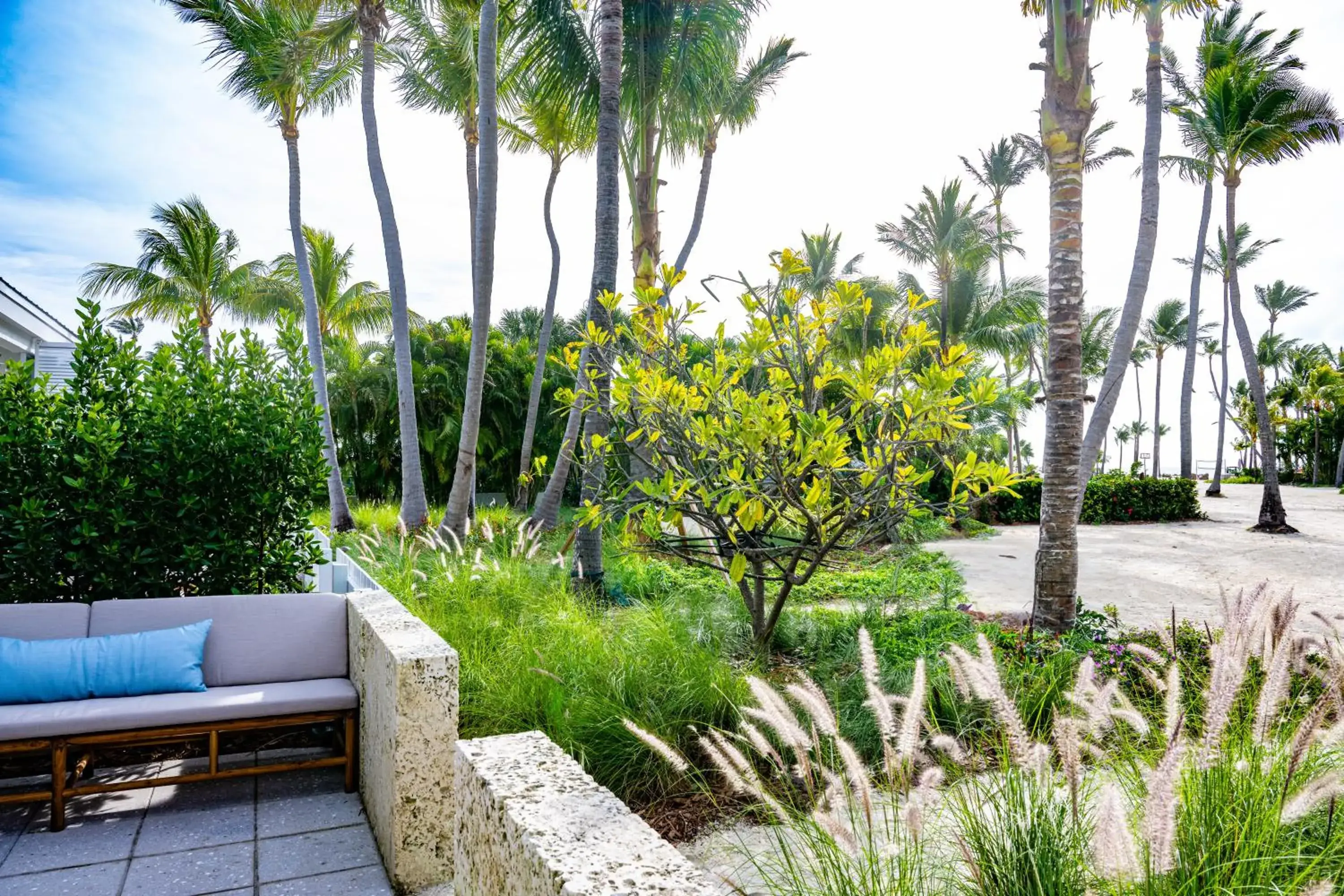 Garden view in Islander Resort Garden view in Islander Resort