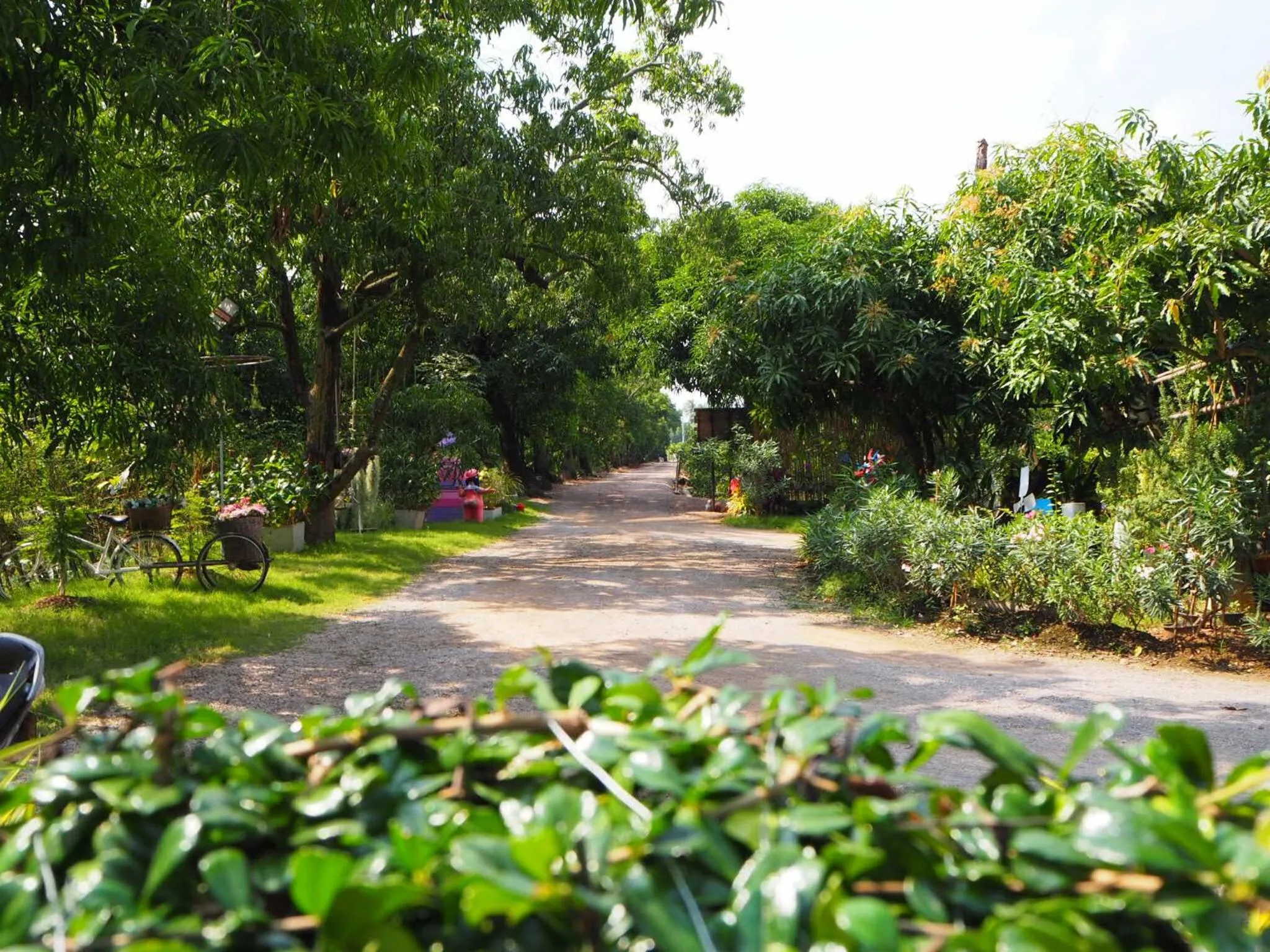 Baan Sai Nam