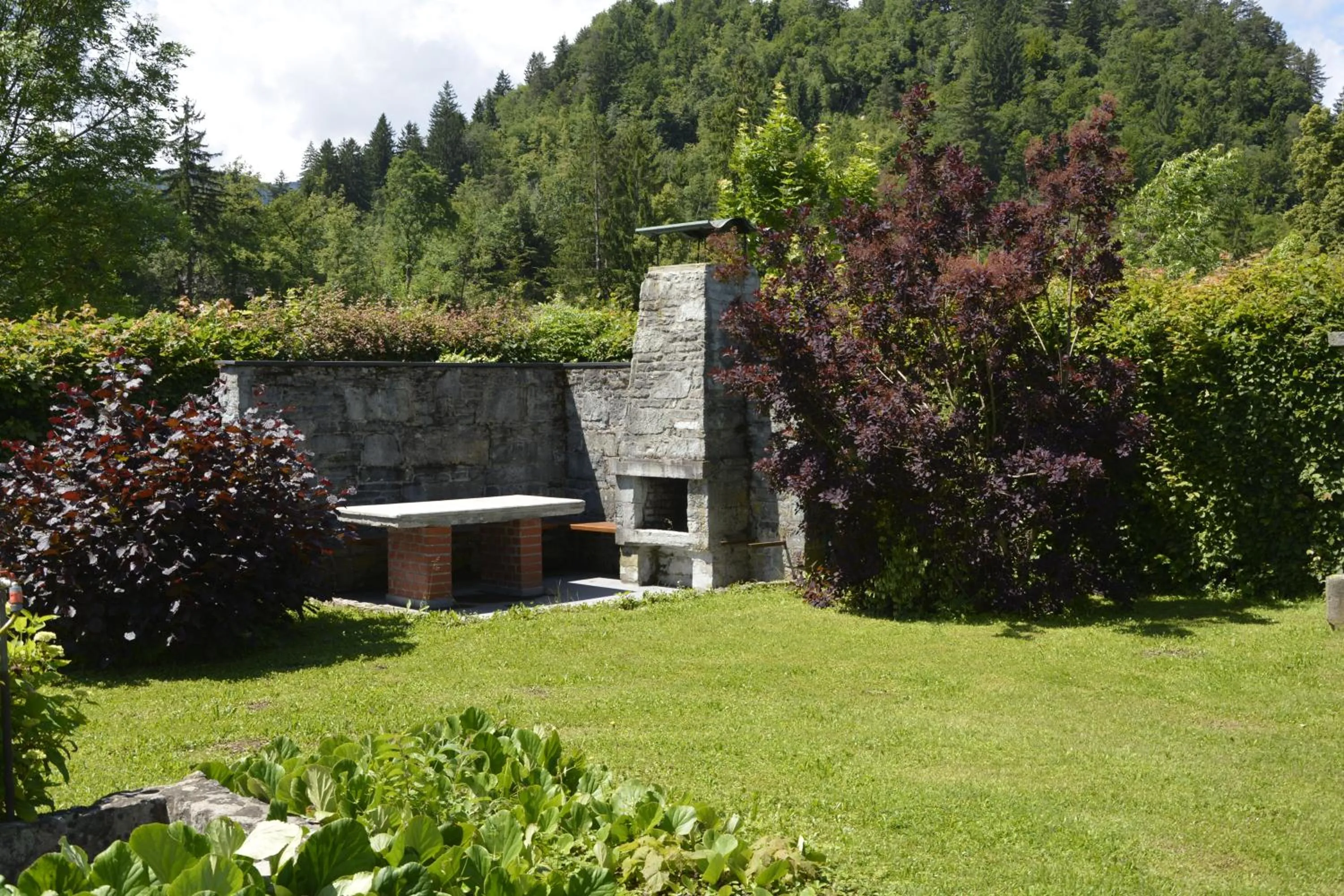 Garden in Vila Laura