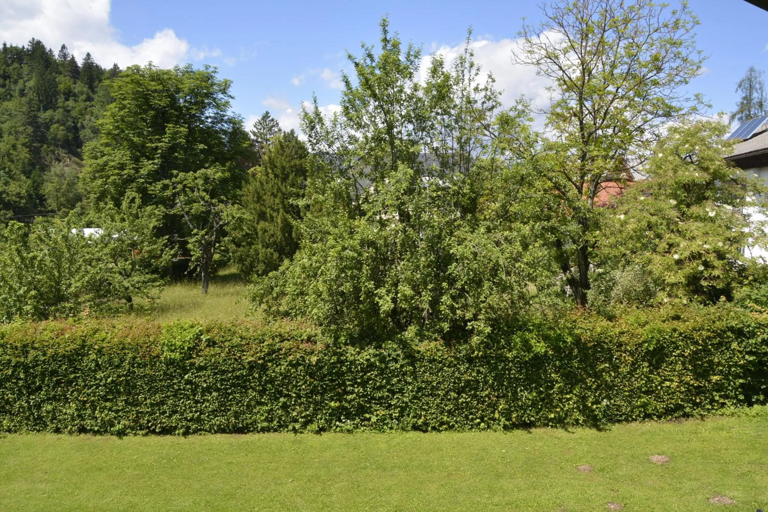 Garden in Vila Laura