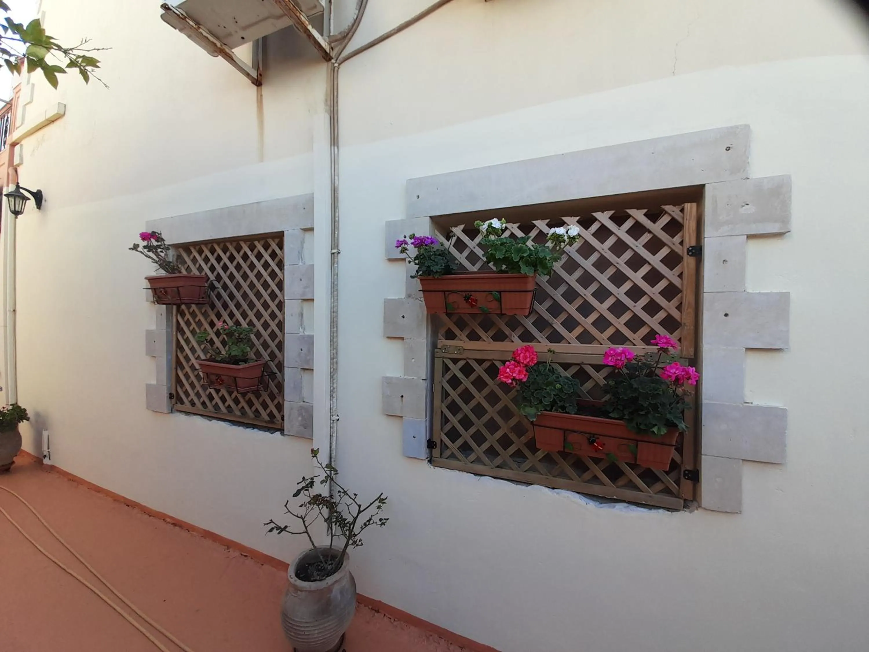 Nikos Studio