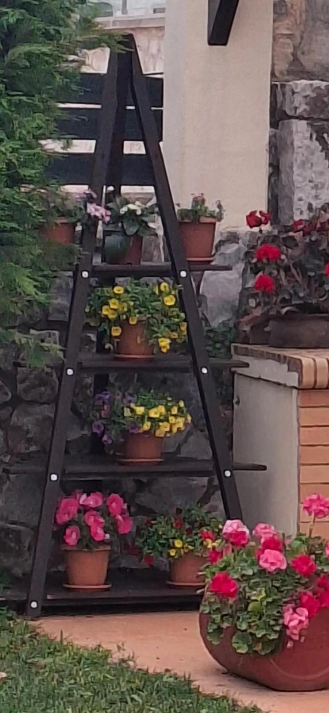Nikos Studio