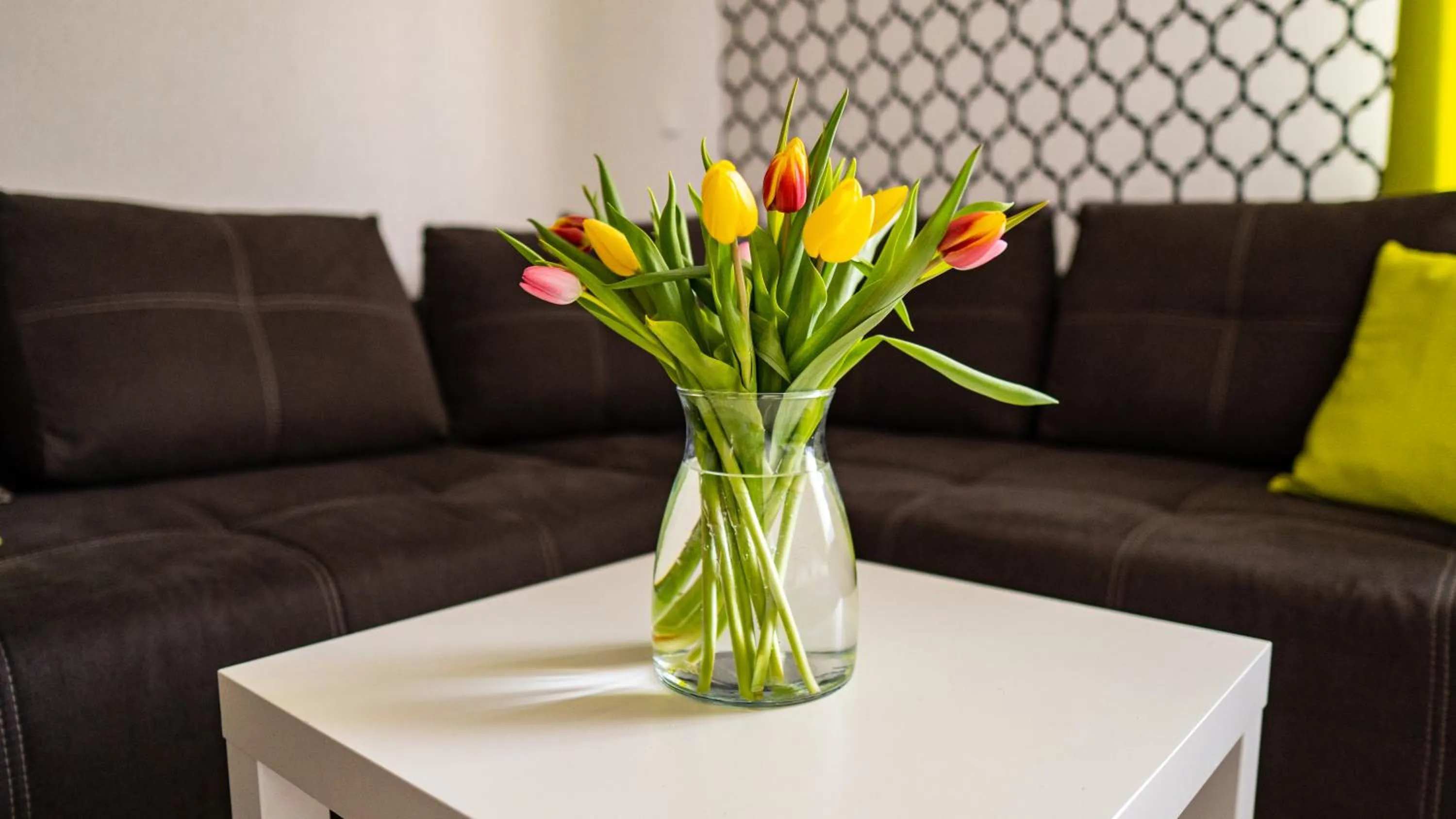 Living room in Rancho
