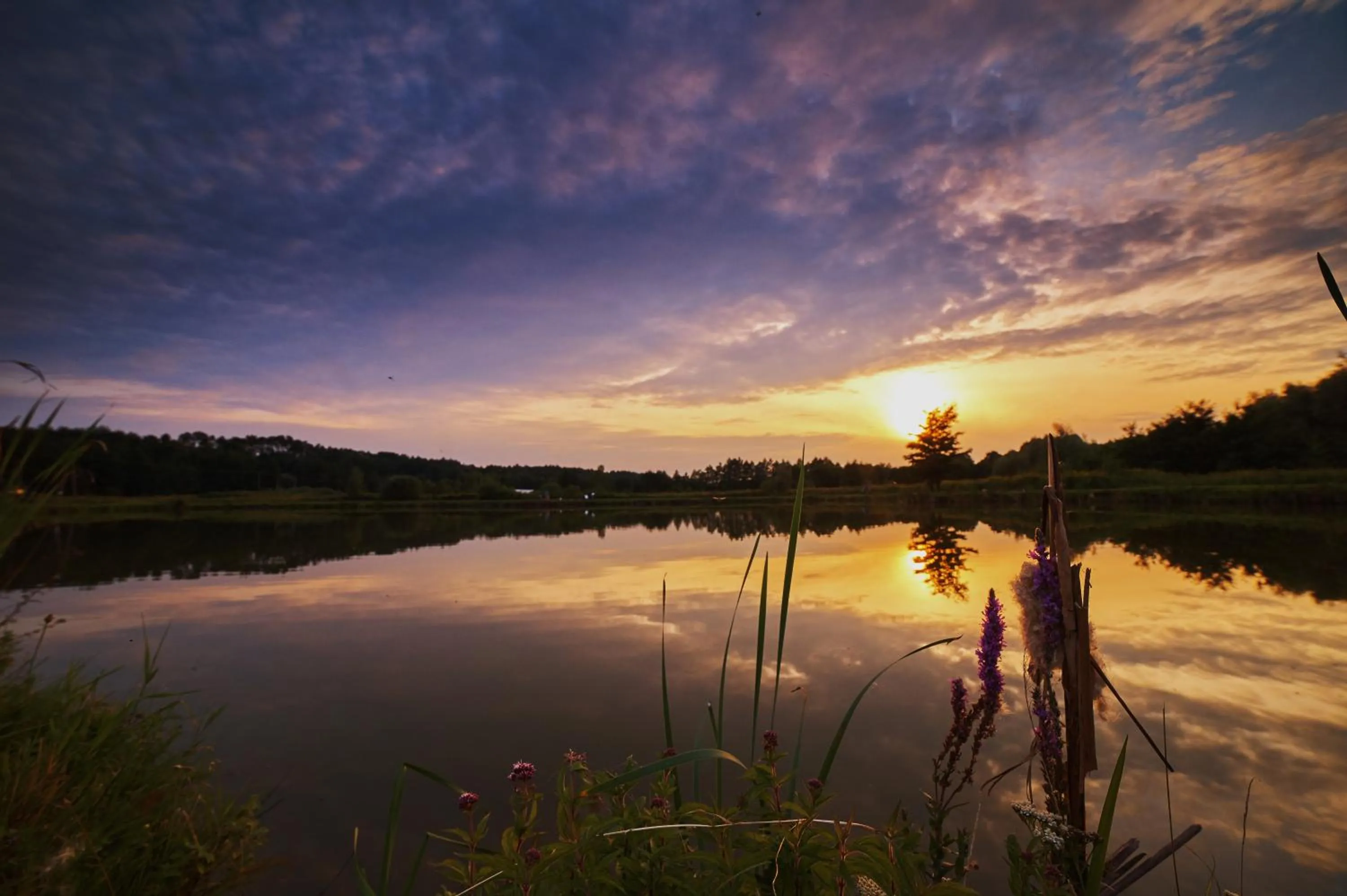 Neighbourhood in Rancho