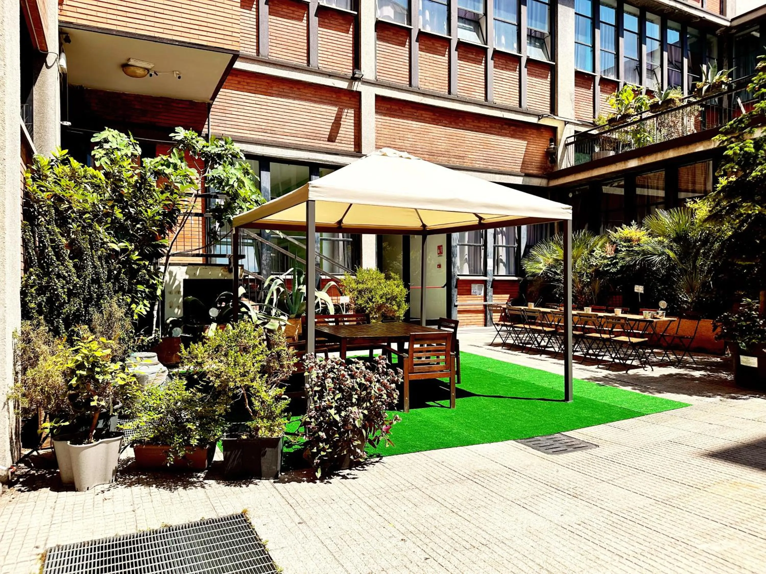 Garden in Mio Hostel