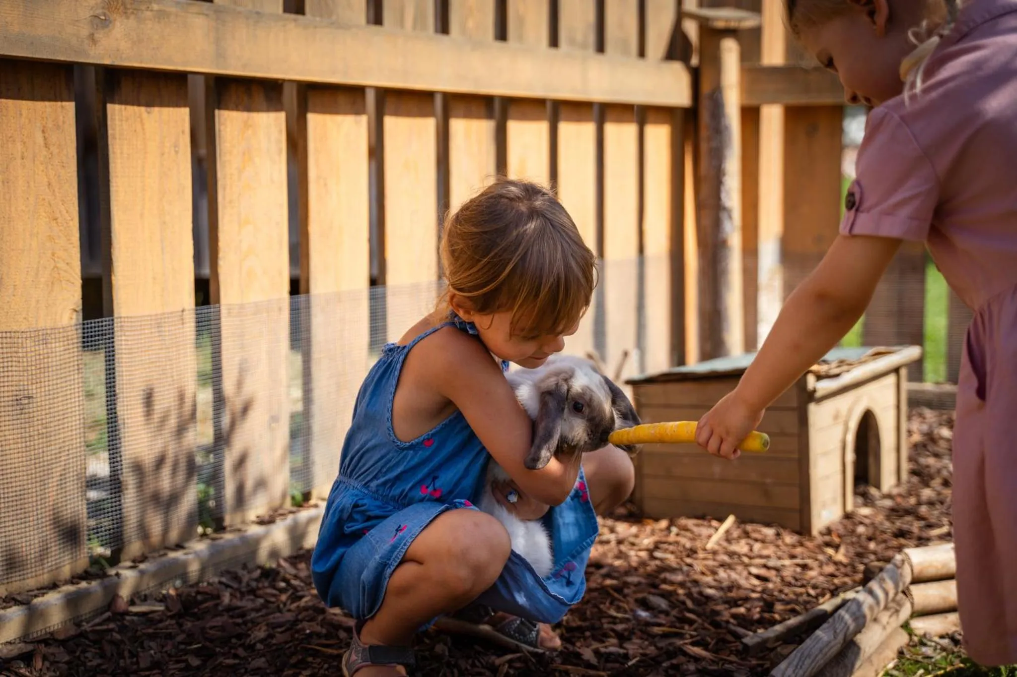 Dilly - Das Nationalpark Resort