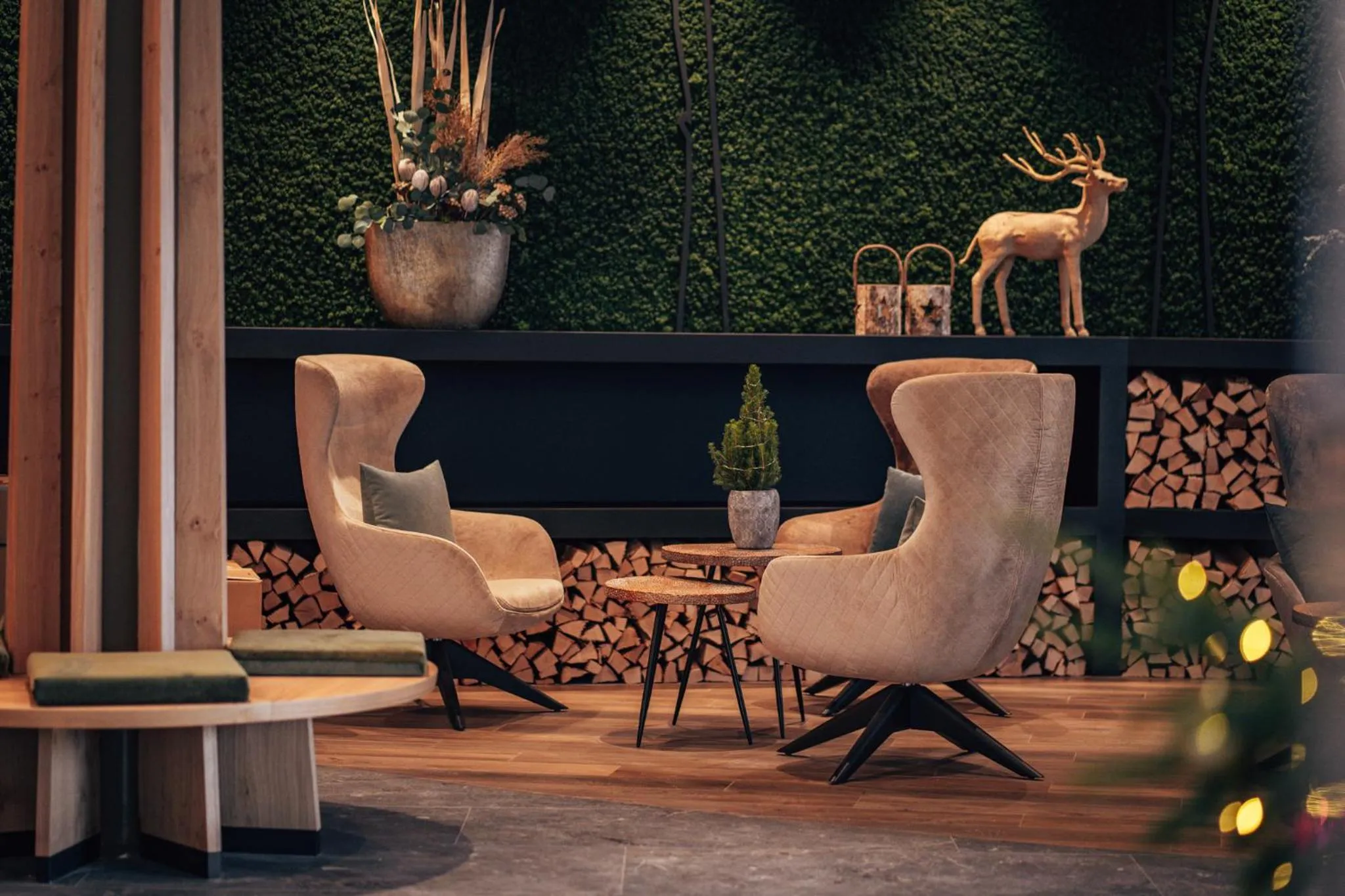 Dilly - Das Nationalpark Resort