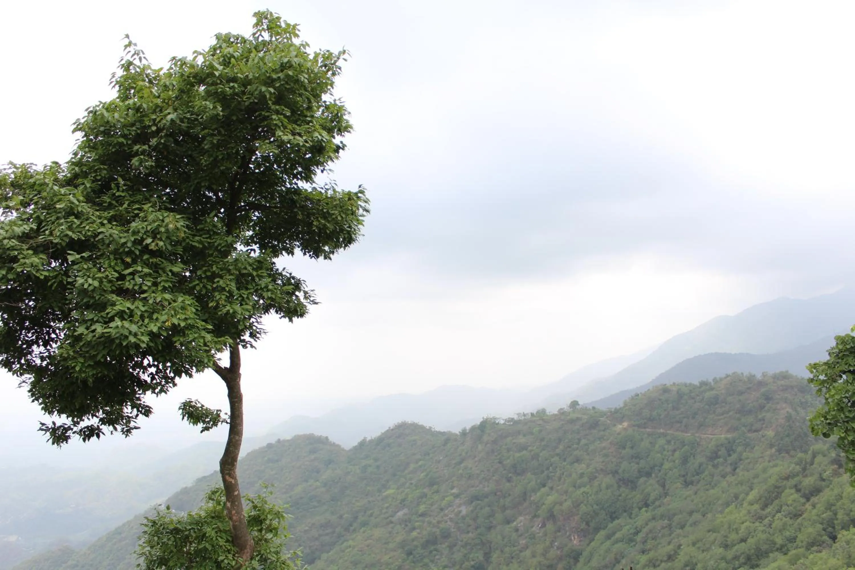 Property building in Jharipani Castle