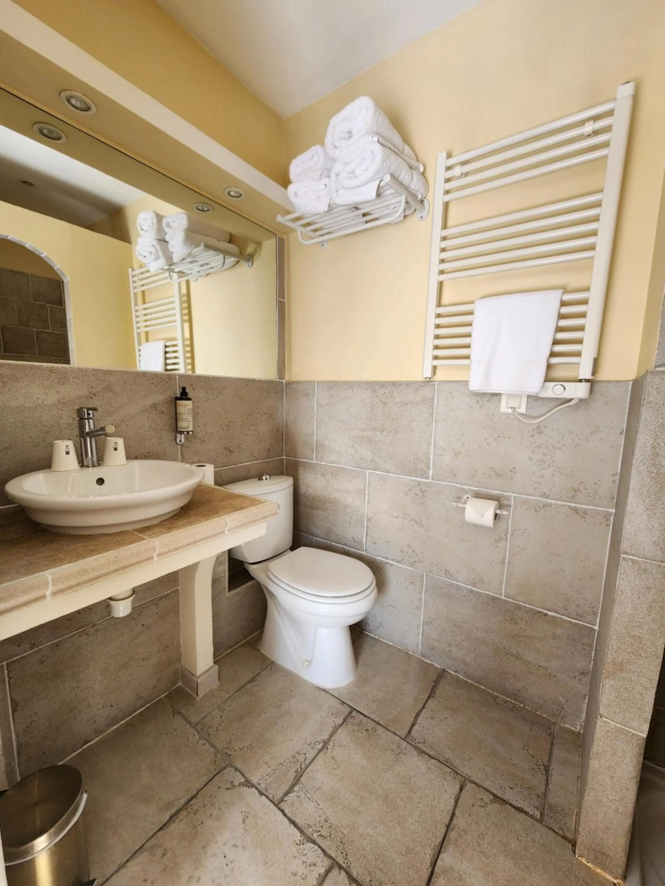 Toilet in Hôtel du Palais des Papes
