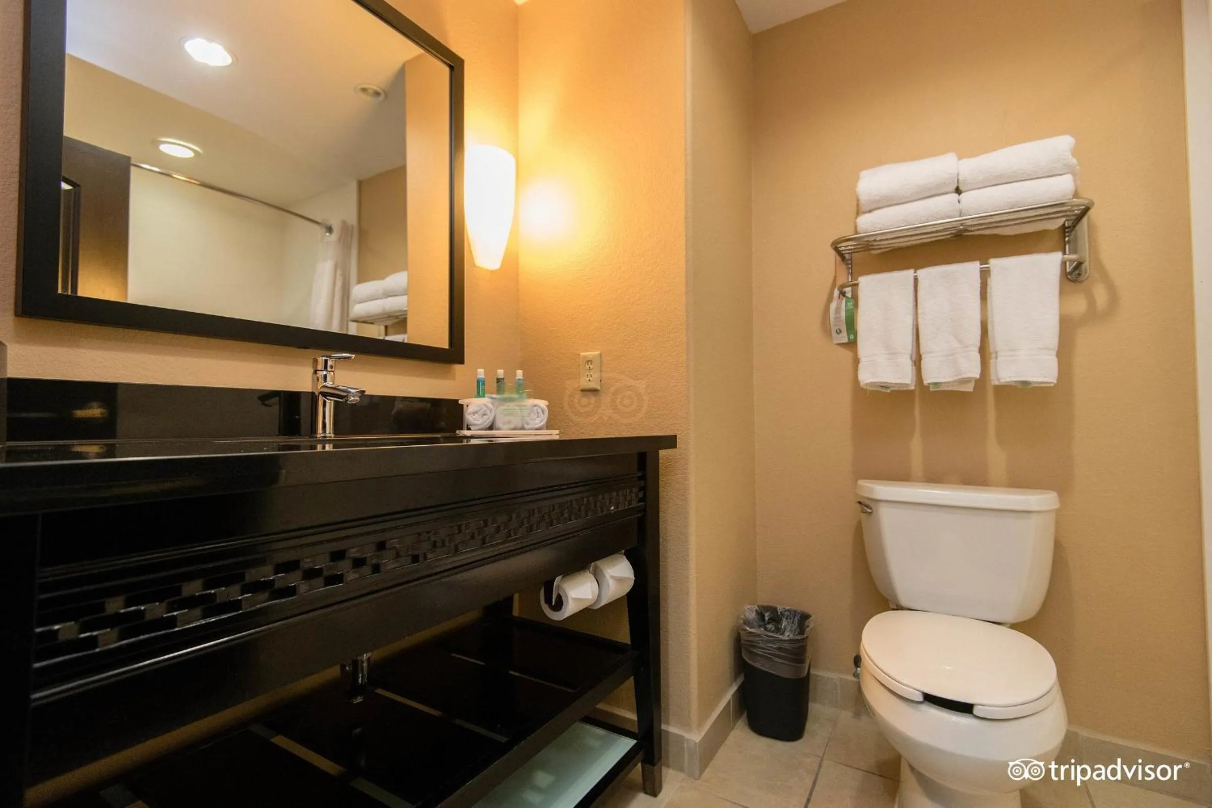 Bathroom in Comfort Inn & Suites Dallas Medical-Market Center