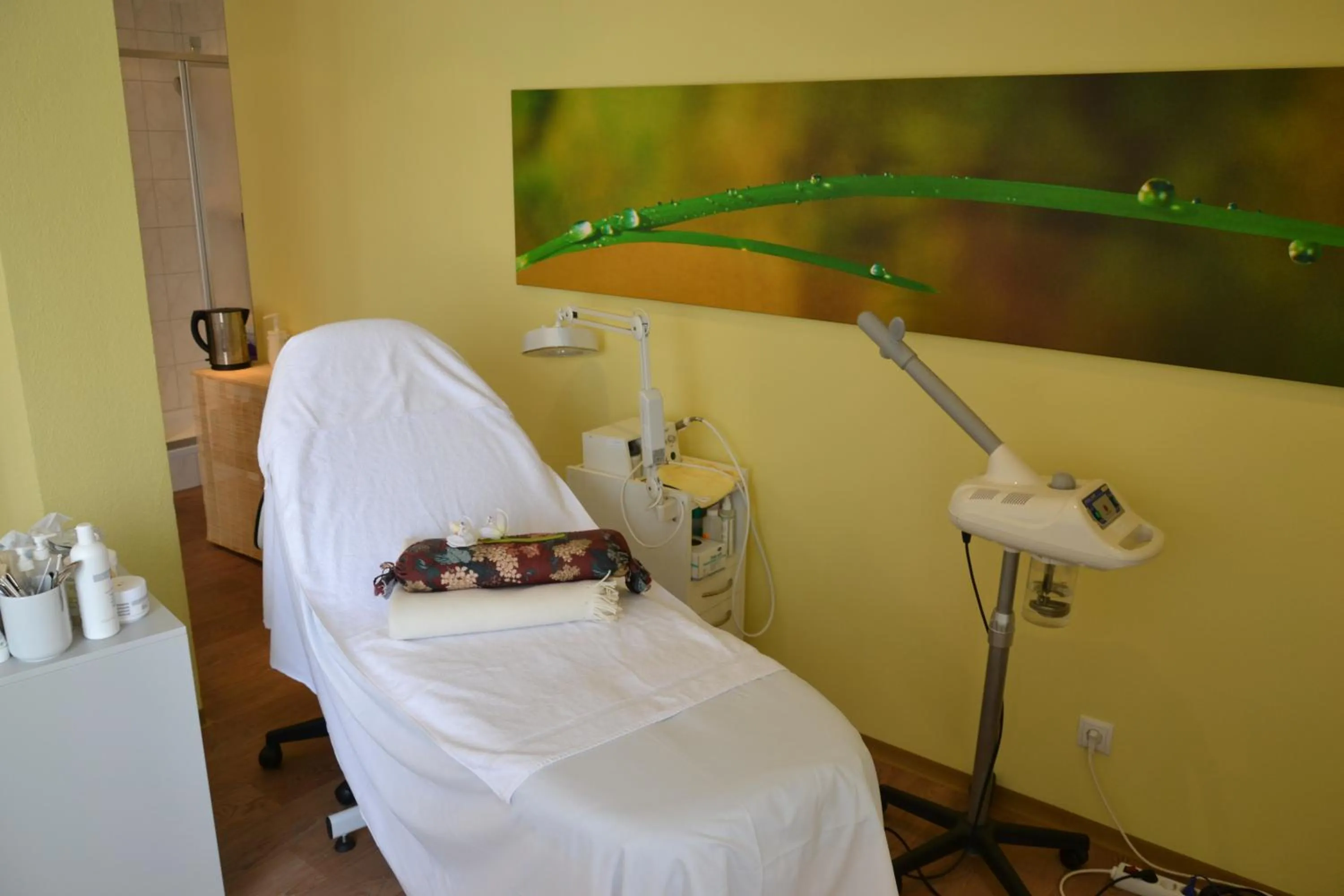 Spa and wellness centre/facilities in Hotel Alpina nature-wellness