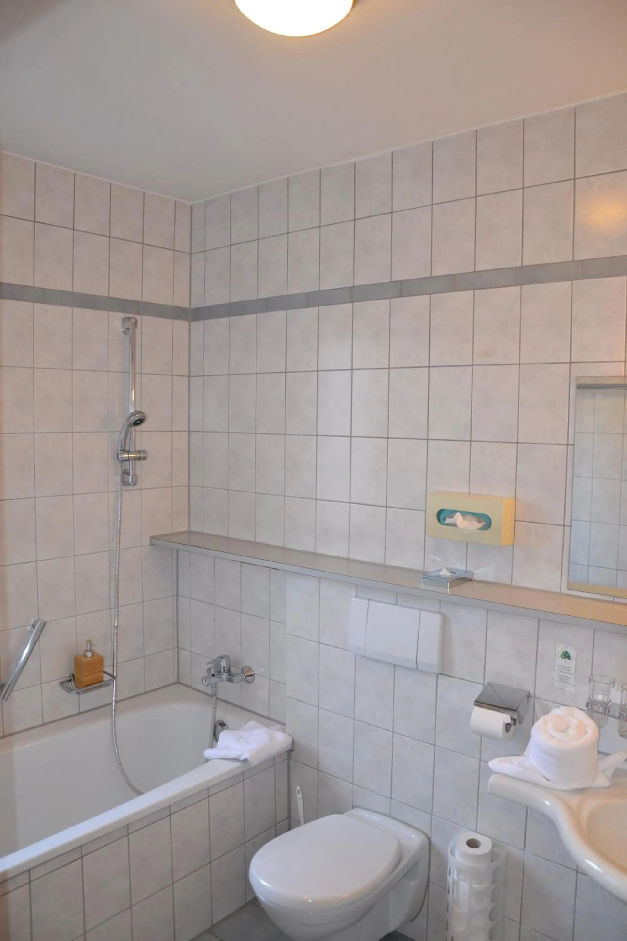 Bathroom in Hotel Alpina nature-wellness