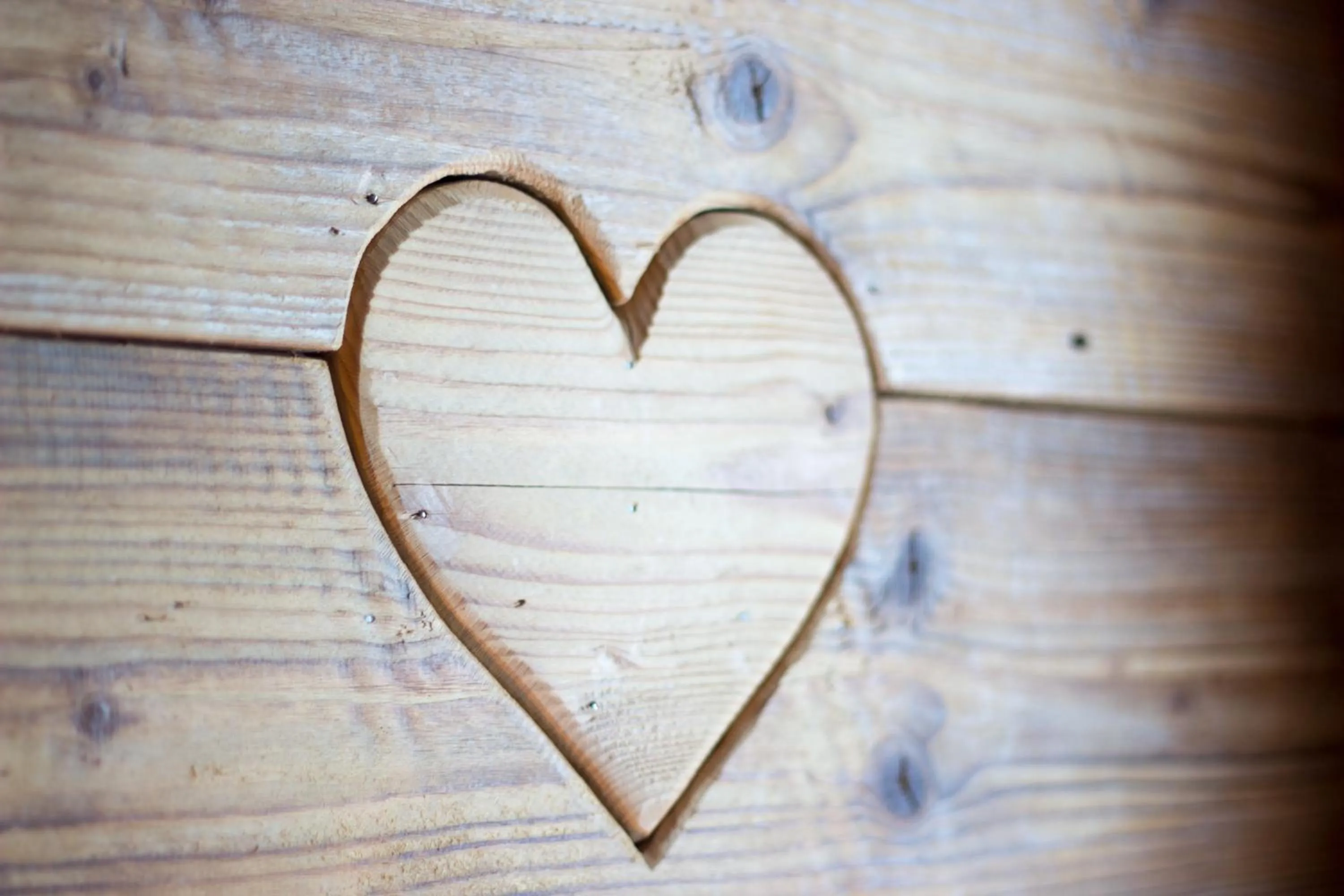 Decorative detail in Hotel 3 Vallées Val Thorens