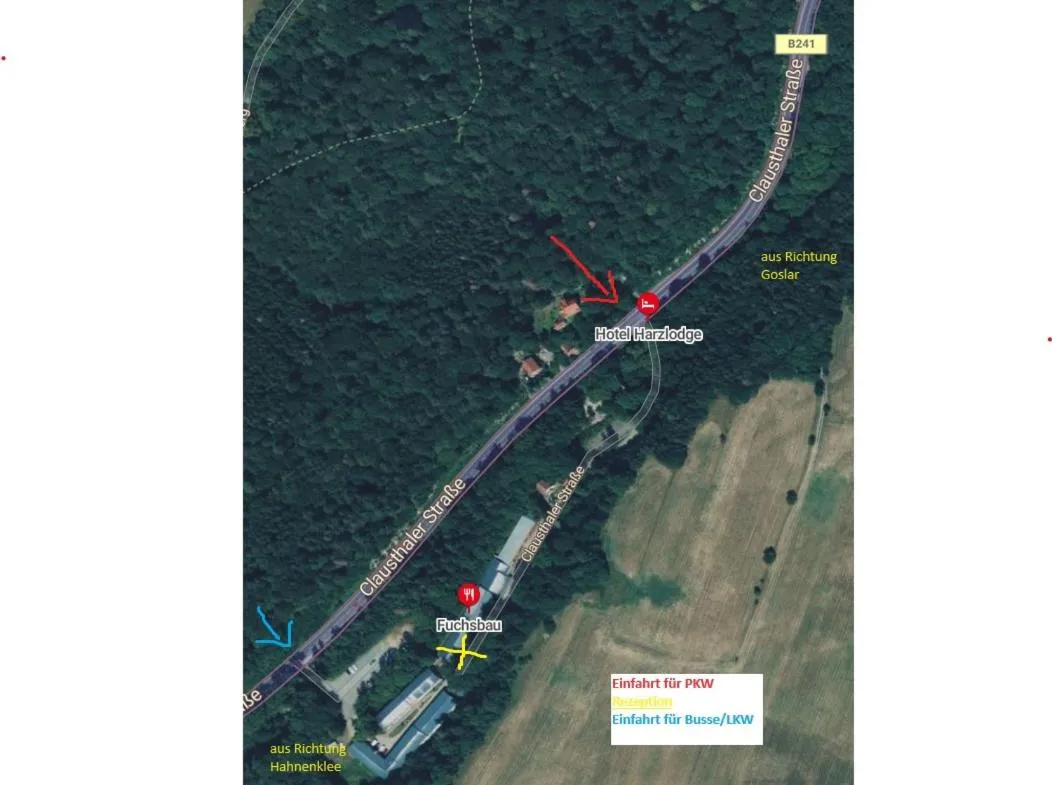 Natural landscape in Hotel Harzlodge