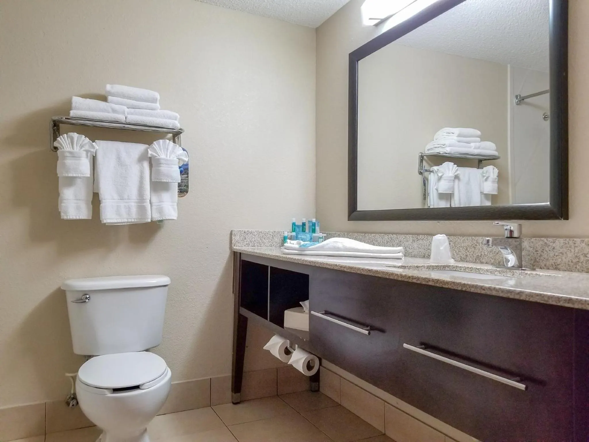 Bathroom in Holiday Inn Express Hotel & Suites Orange City - Deltona by IHG