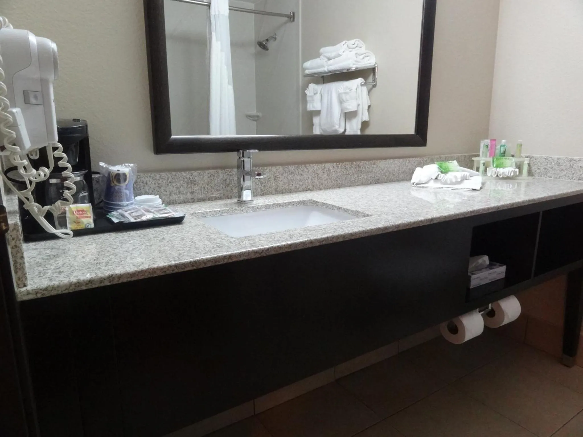 Bathroom in Holiday Inn Express Hotel & Suites Orange City - Deltona by IHG