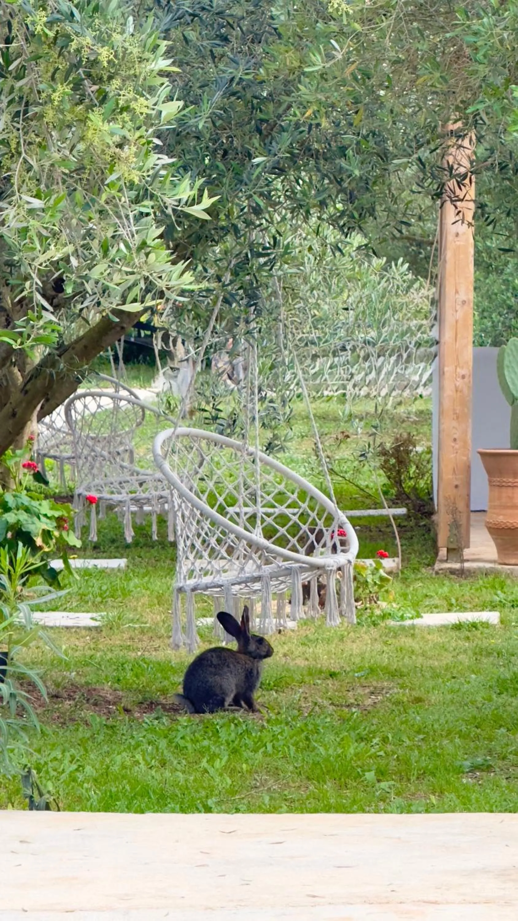 Day in Rida Village Ksamil Island