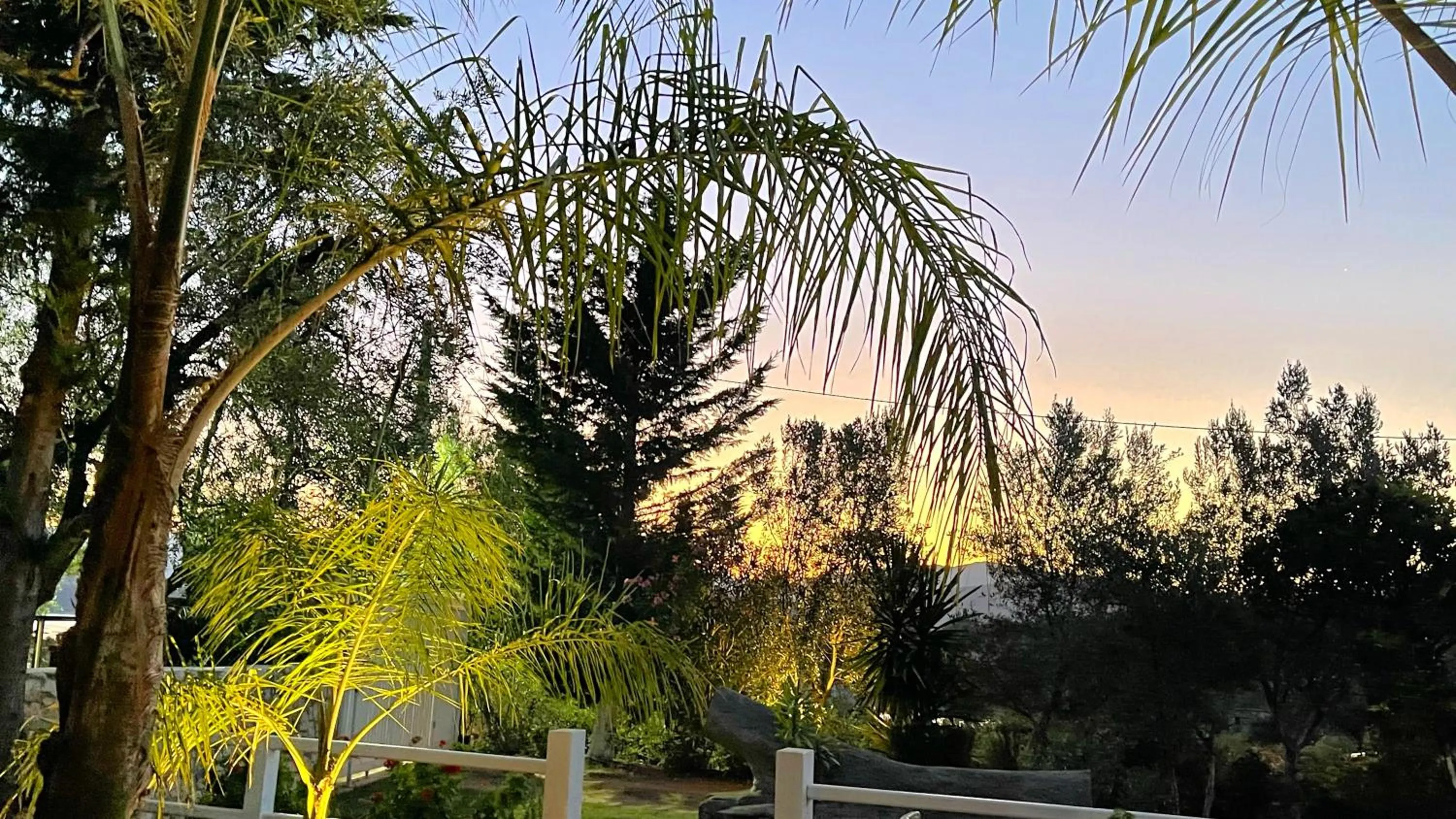 Garden in Rida Village Ksamil Island