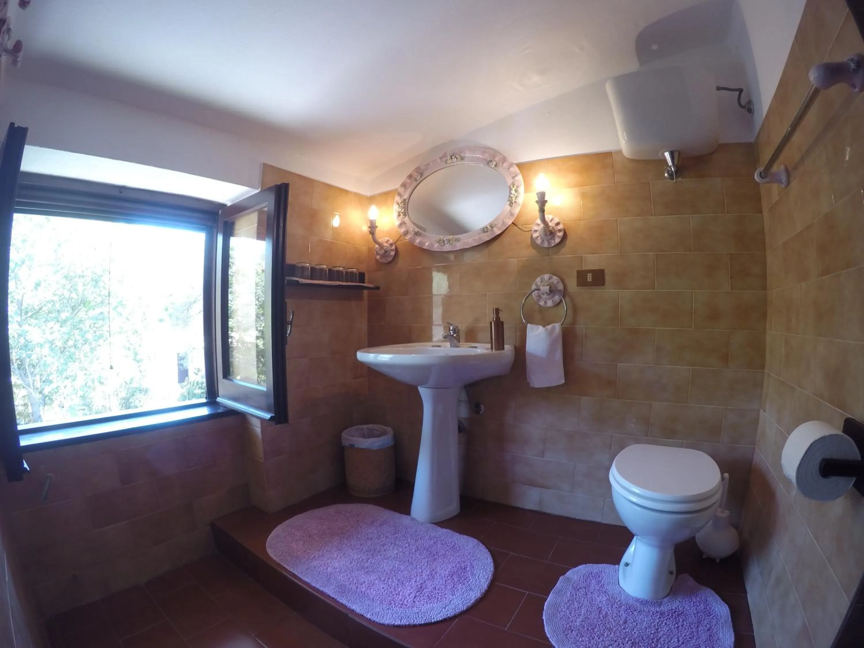 Double Room with Private Bathroom - single occupancy in Villa Isabella
