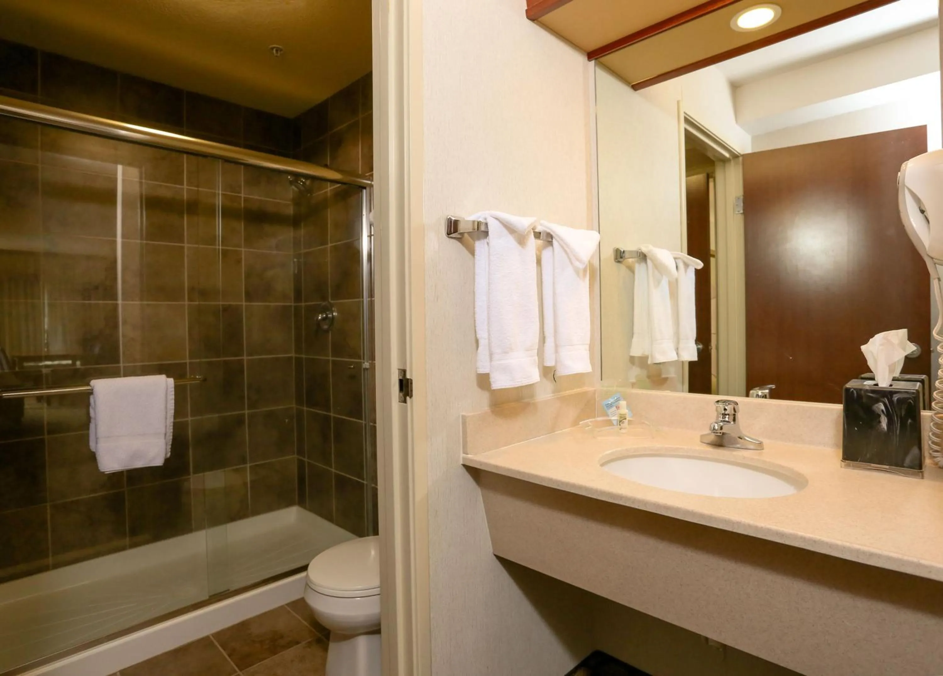 Bathroom in Holiday Inn West Yellowstone by IHG