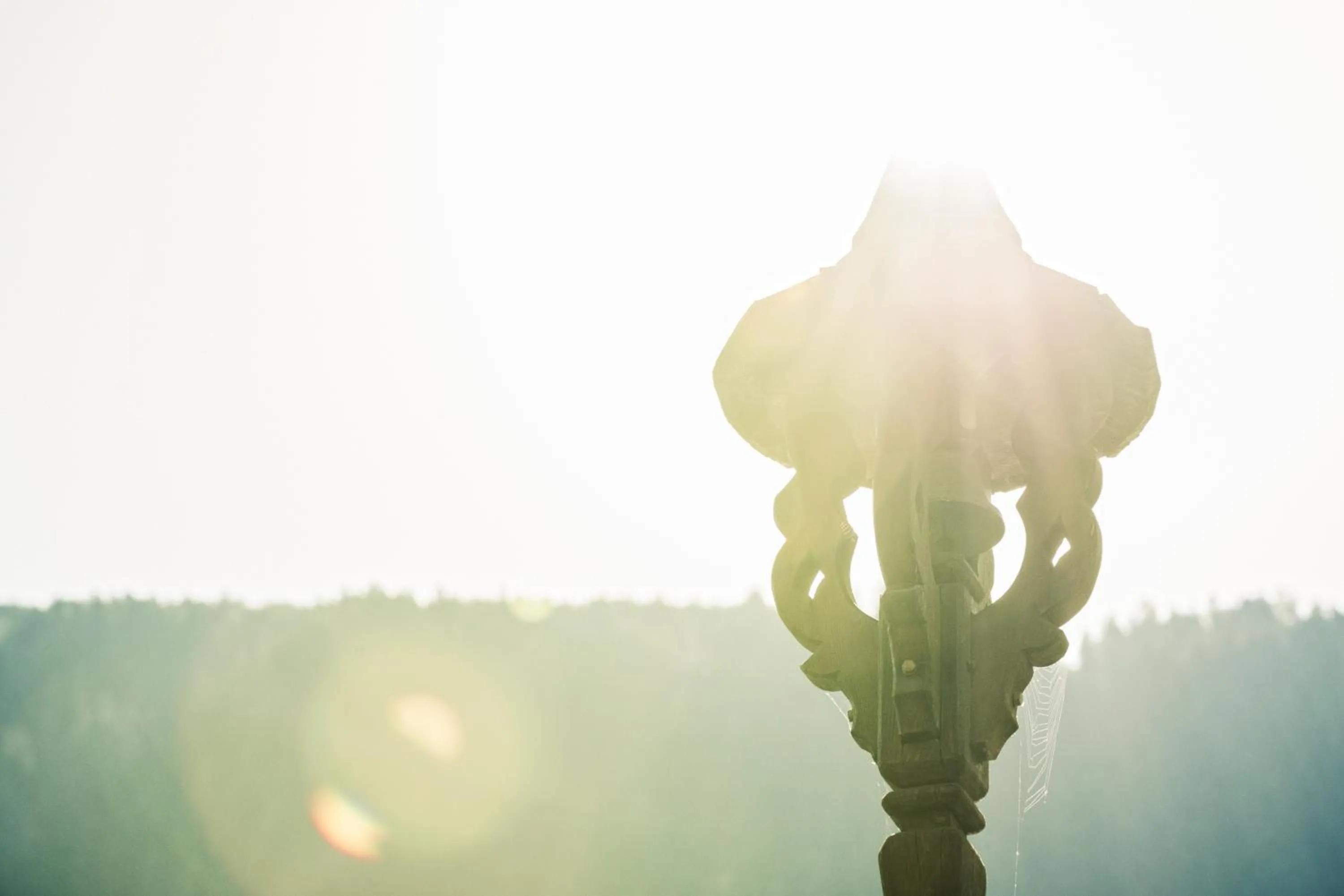 Garden in Hotel Alpenhof Kristall