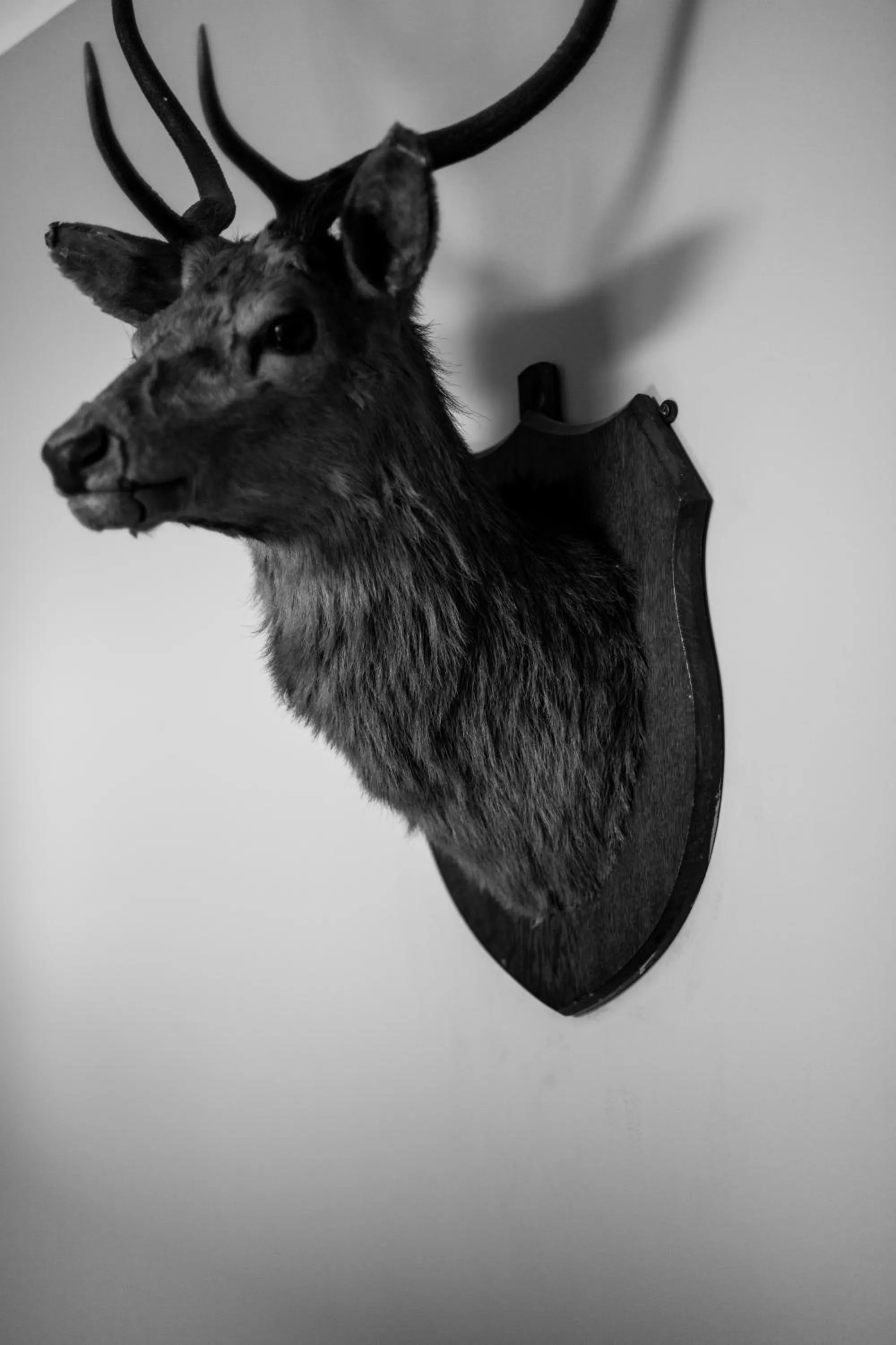 Property building in The Inn at Loch Tummel