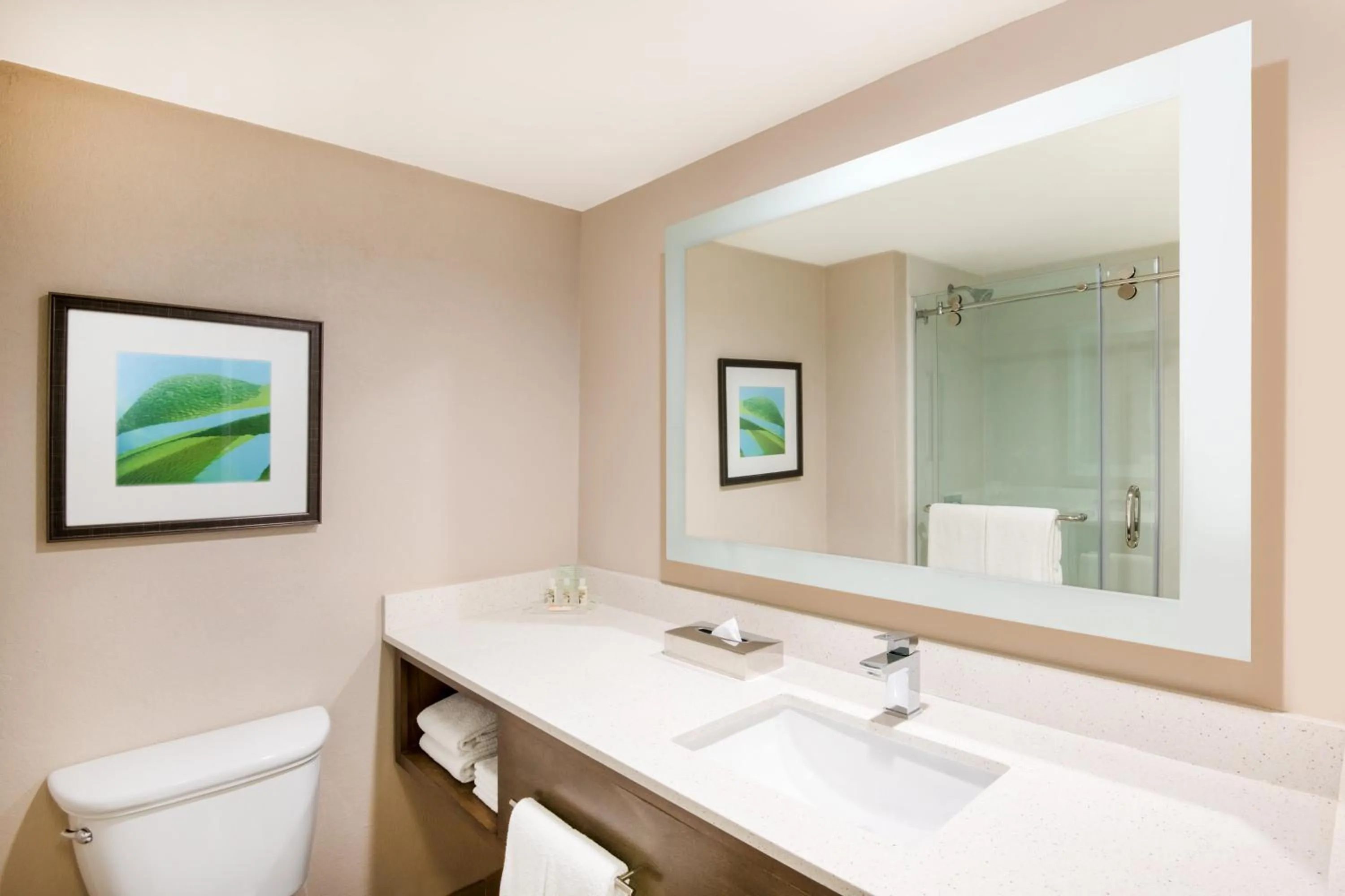 Bathroom in Holiday Inn Resort Aruba - Beach Resort & Casino by IHG