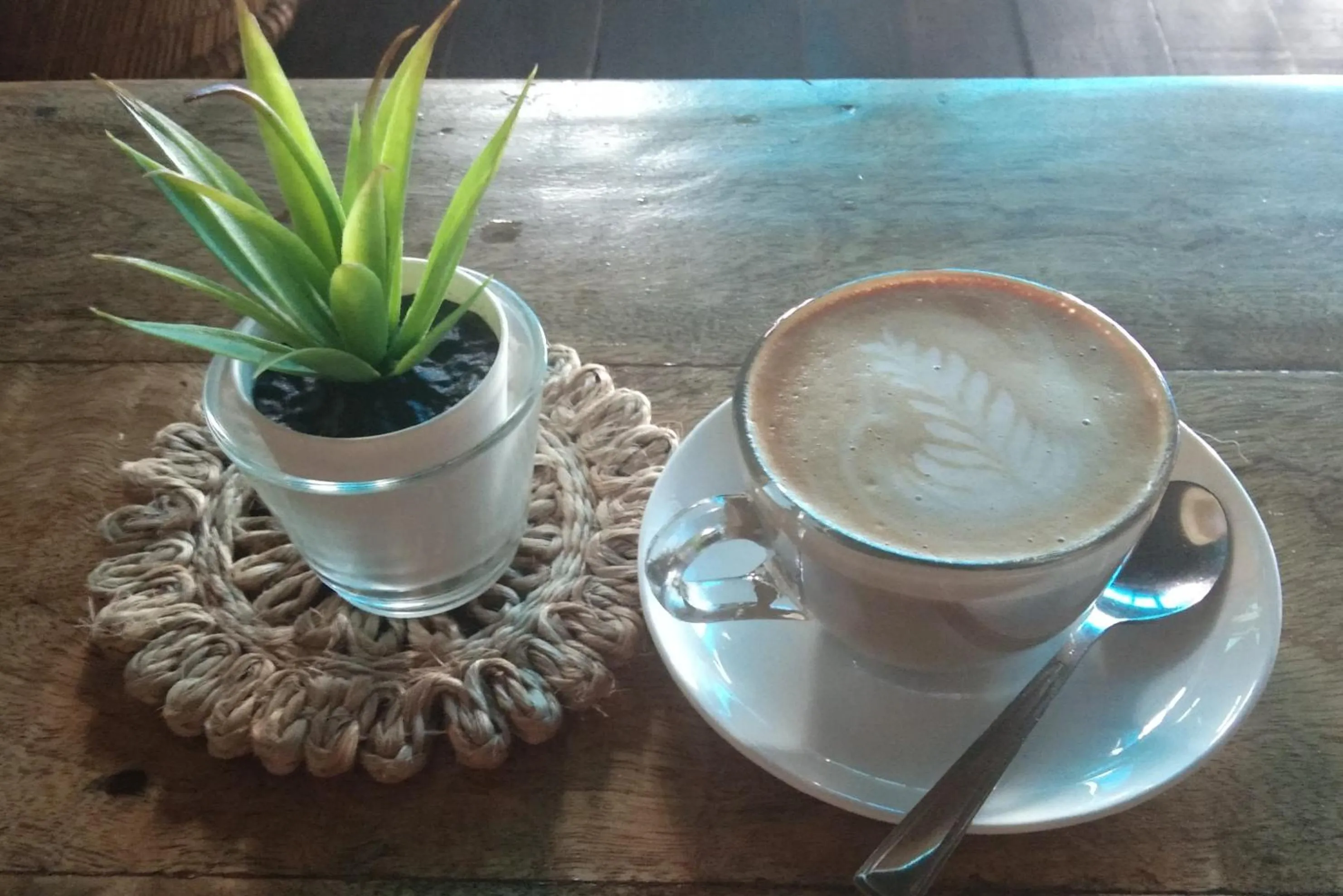 Drinks in Mad about Coco Yoga & Beach Retreat