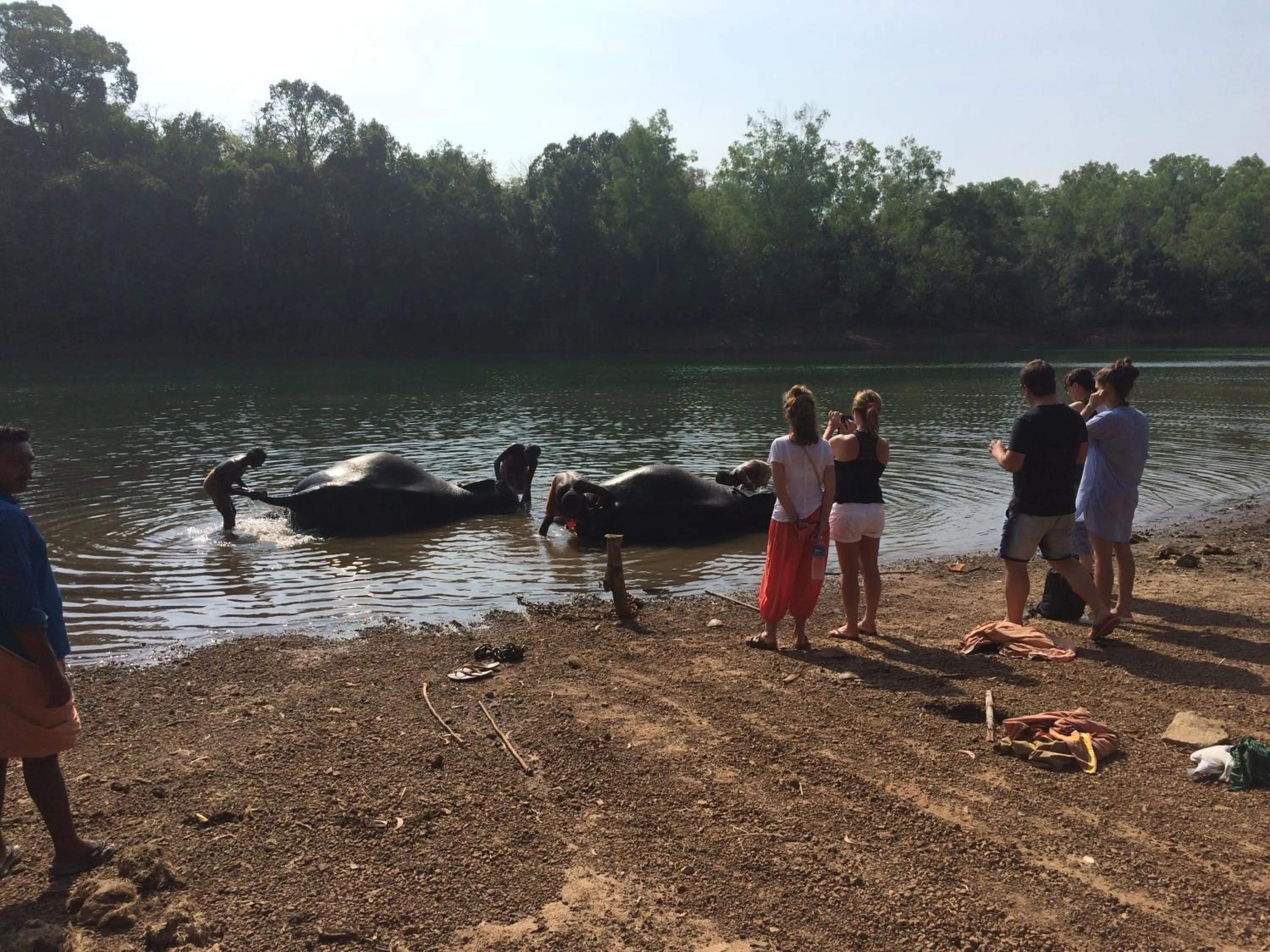 Activities in Mad about Coco Yoga & Beach Retreat