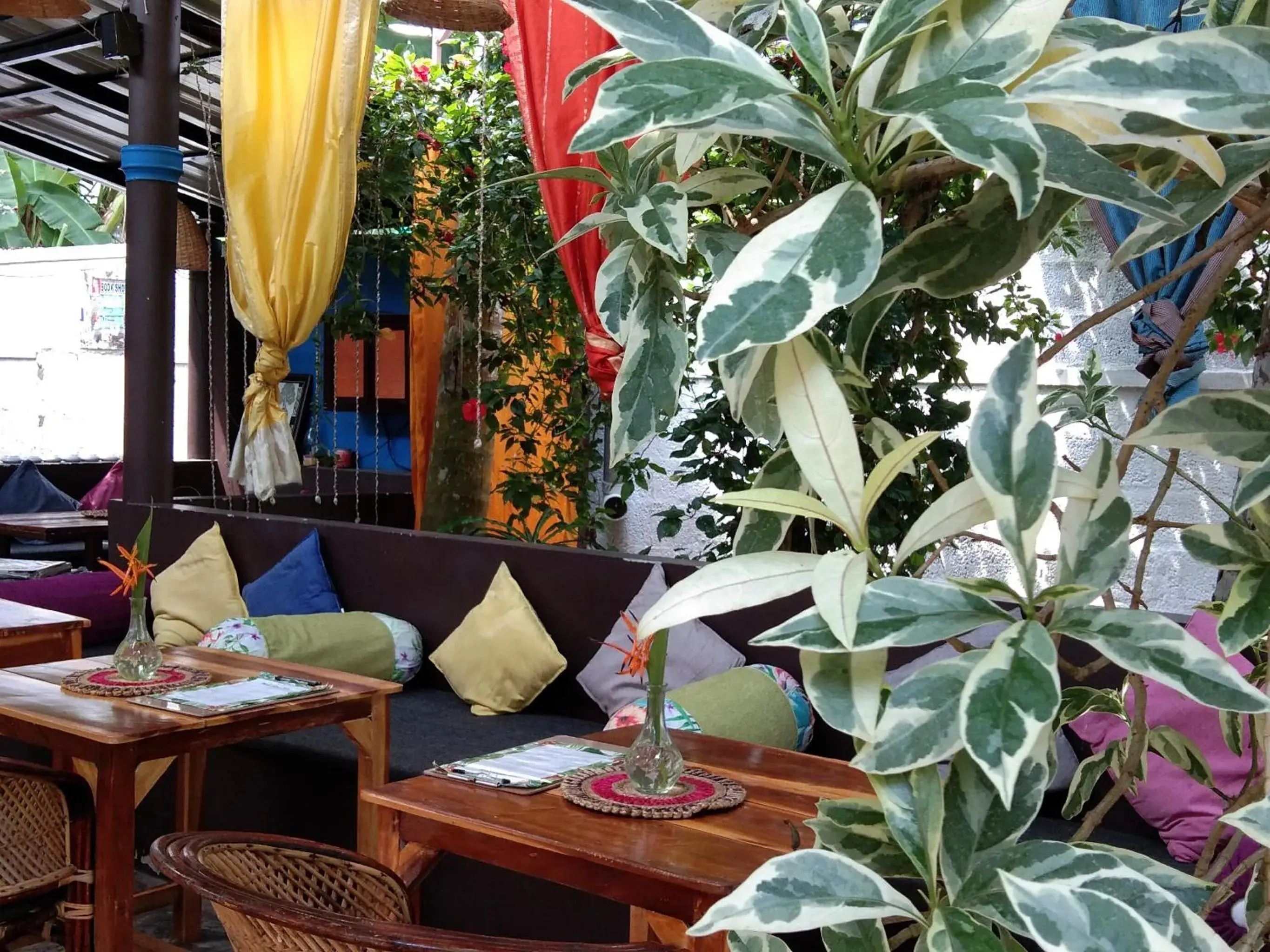 Restaurant/places to eat in Mad about Coco Yoga & Beach Retreat Restaurant/places to eat in Mad about Coco Yoga & Beach Retreat