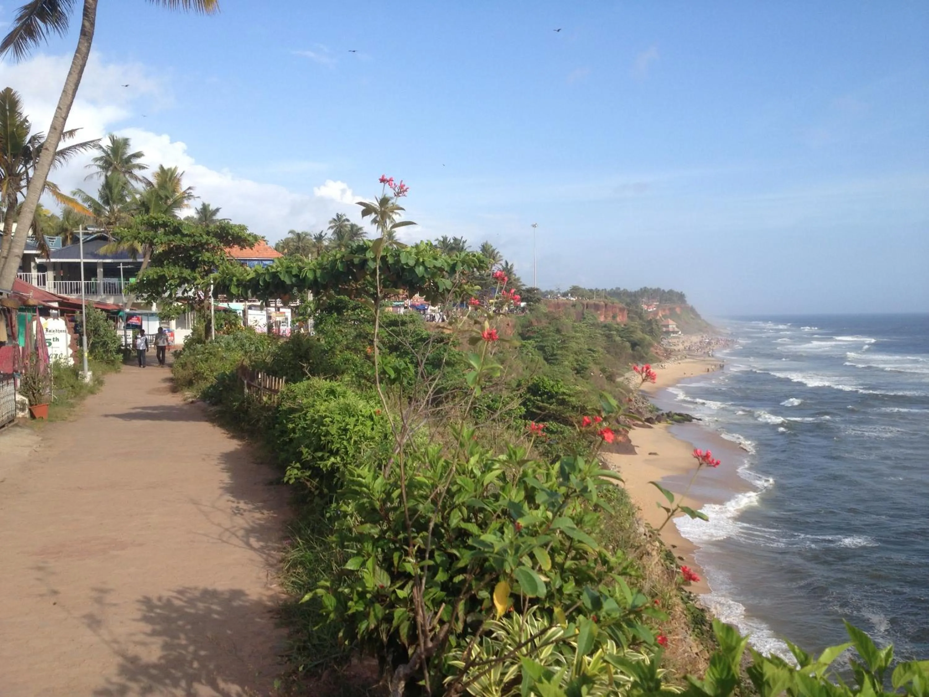 Natural landscape in Mad about Coco Yoga & Beach Retreat