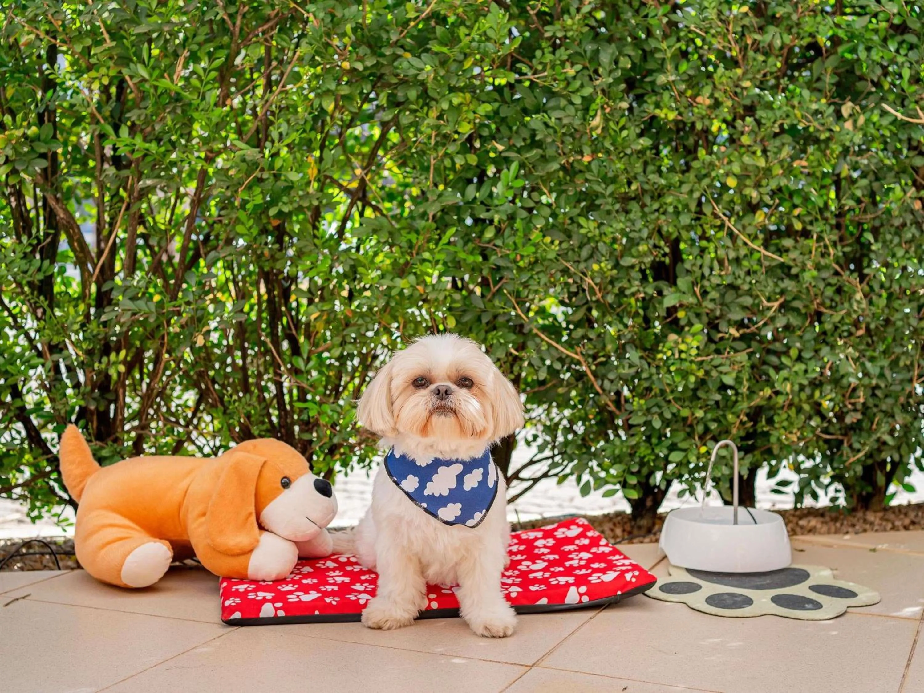 Property building in ibis Piracicaba