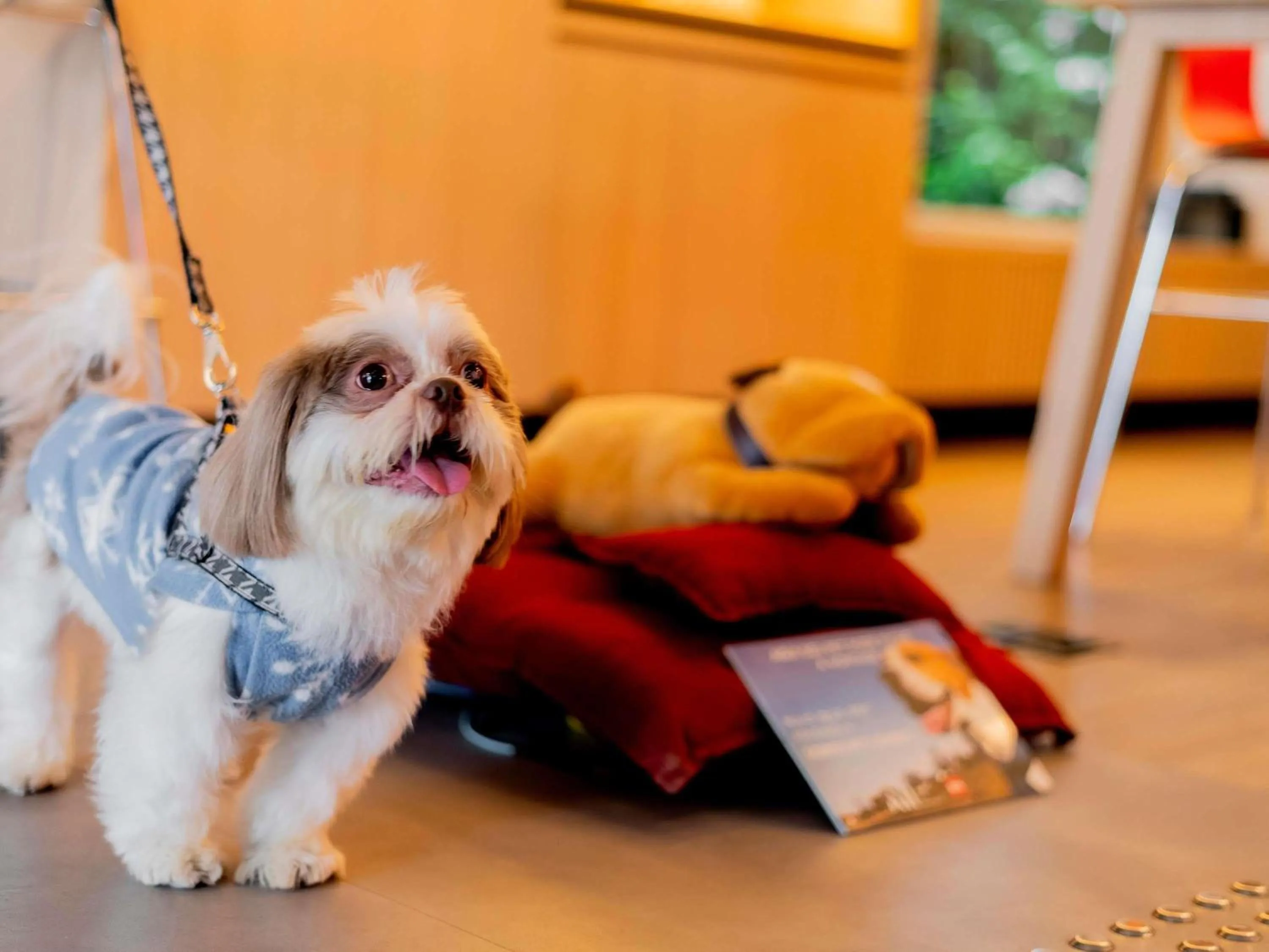 Property building in ibis Sao Paulo Paulista