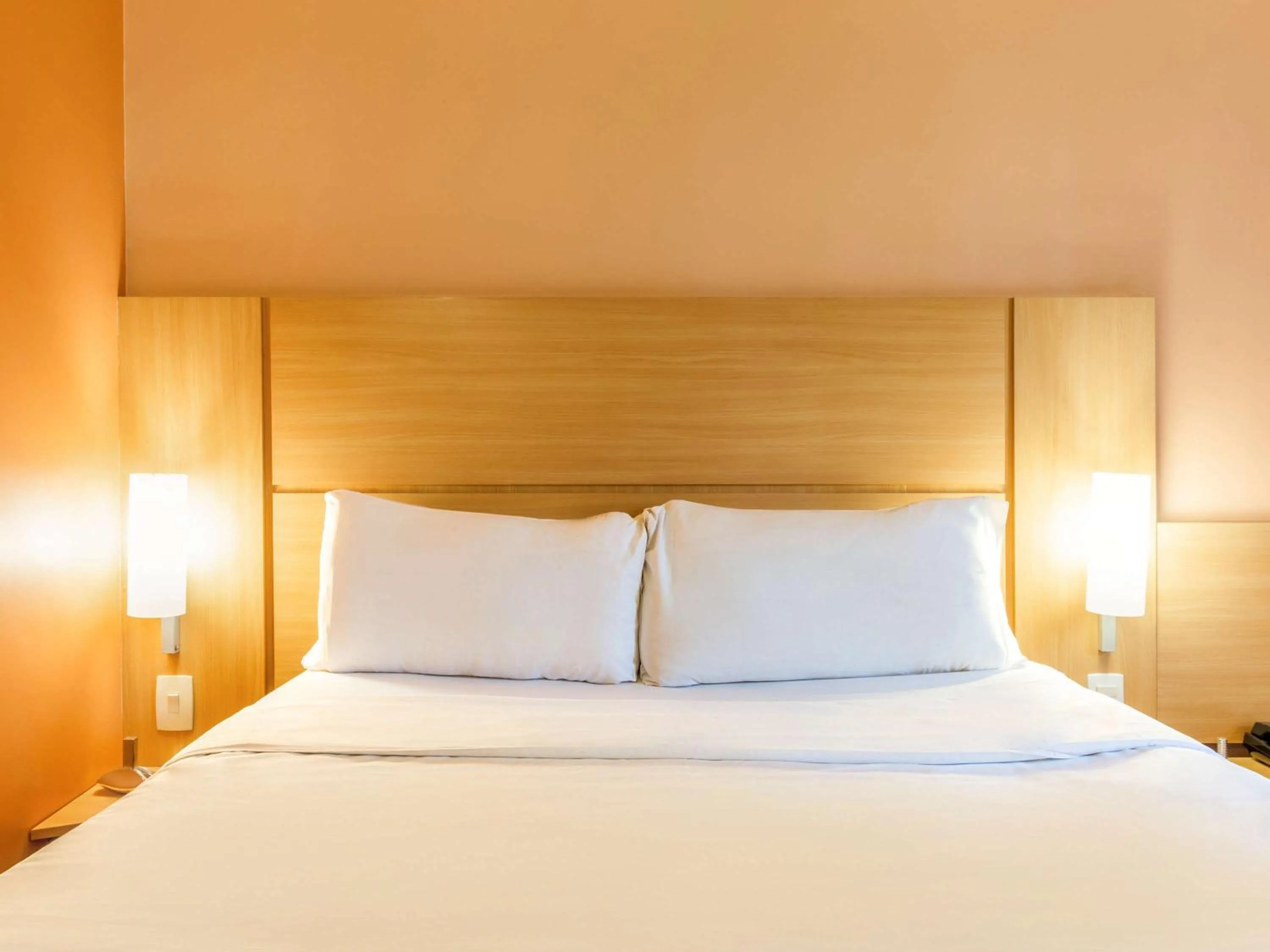 Standard Double Room (2 Adults + 1 Child) in ibis Sao Paulo Morumbi