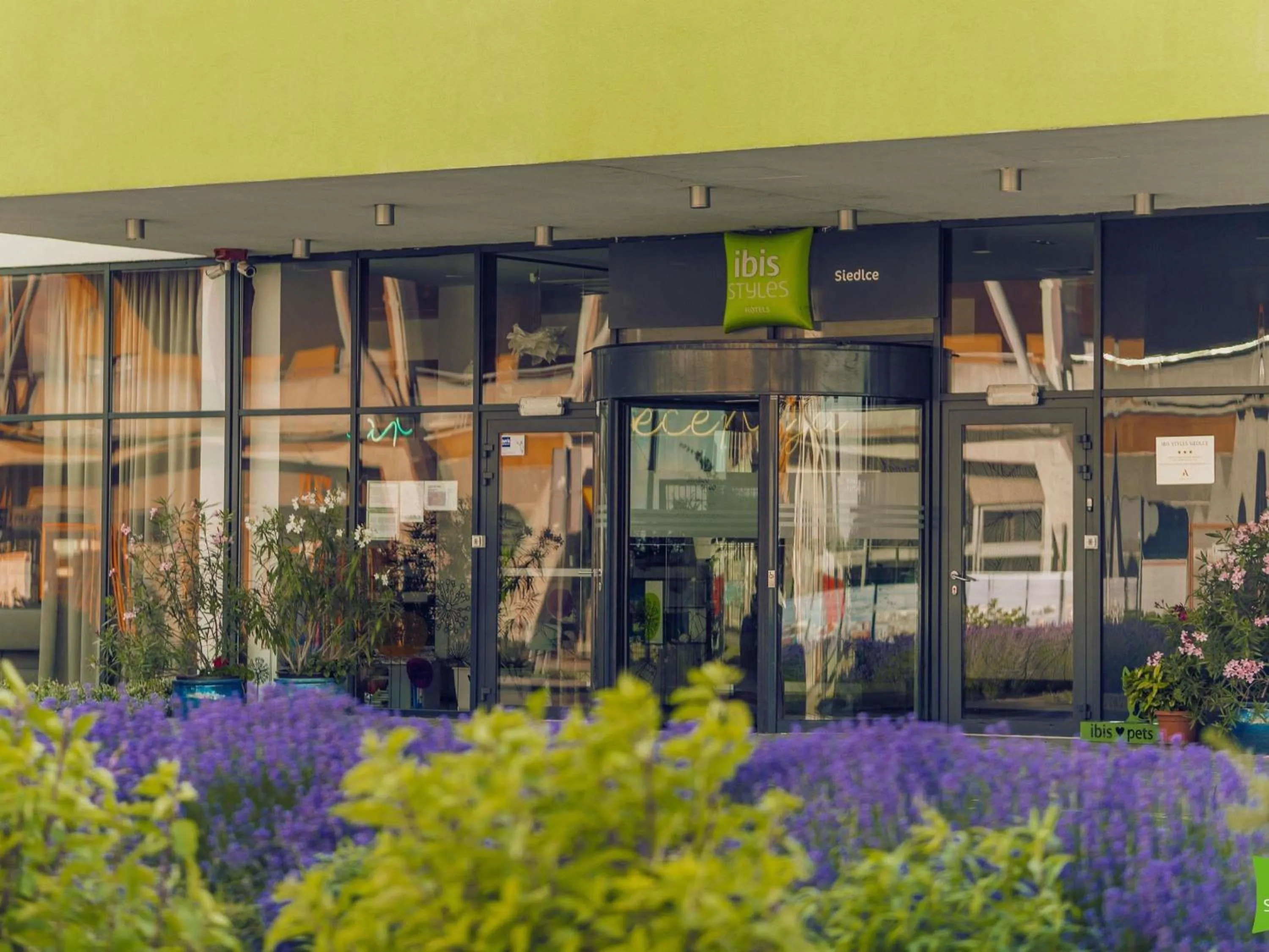 Property building in ibis Styles Siedlce