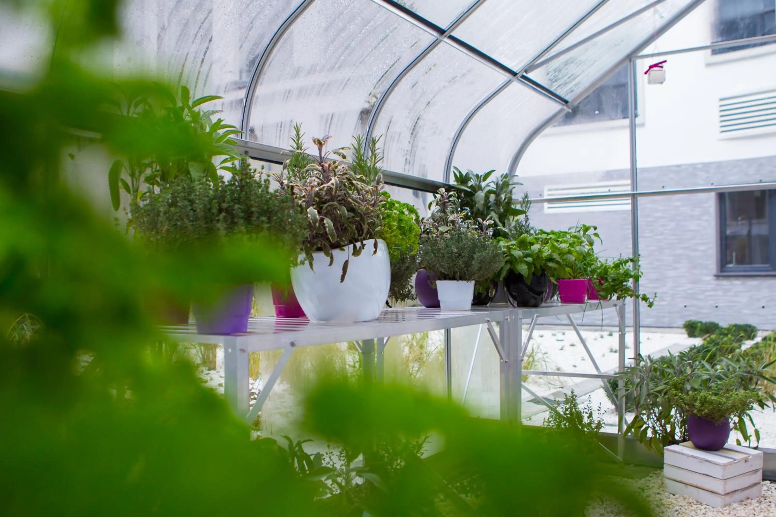 Area and facilities in Mercure Krakow Stare Miasto