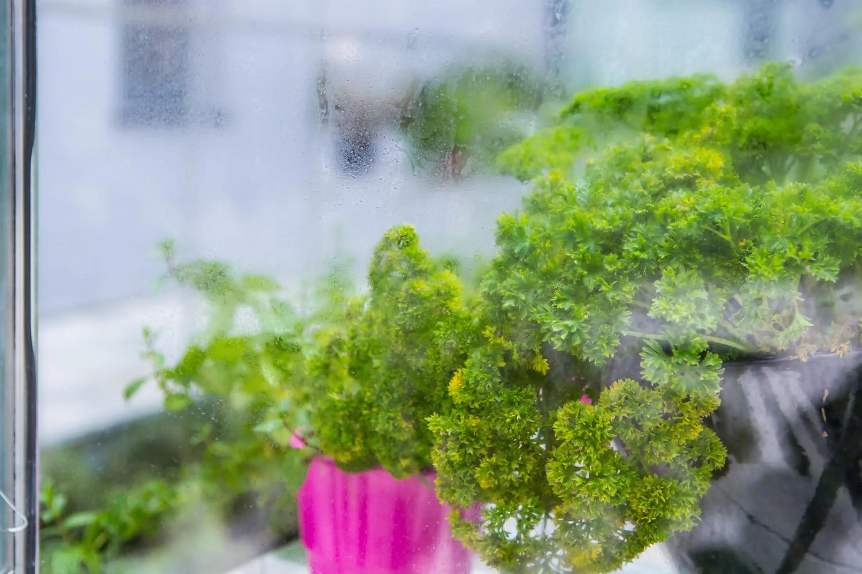 Area and facilities in Mercure Krakow Stare Miasto