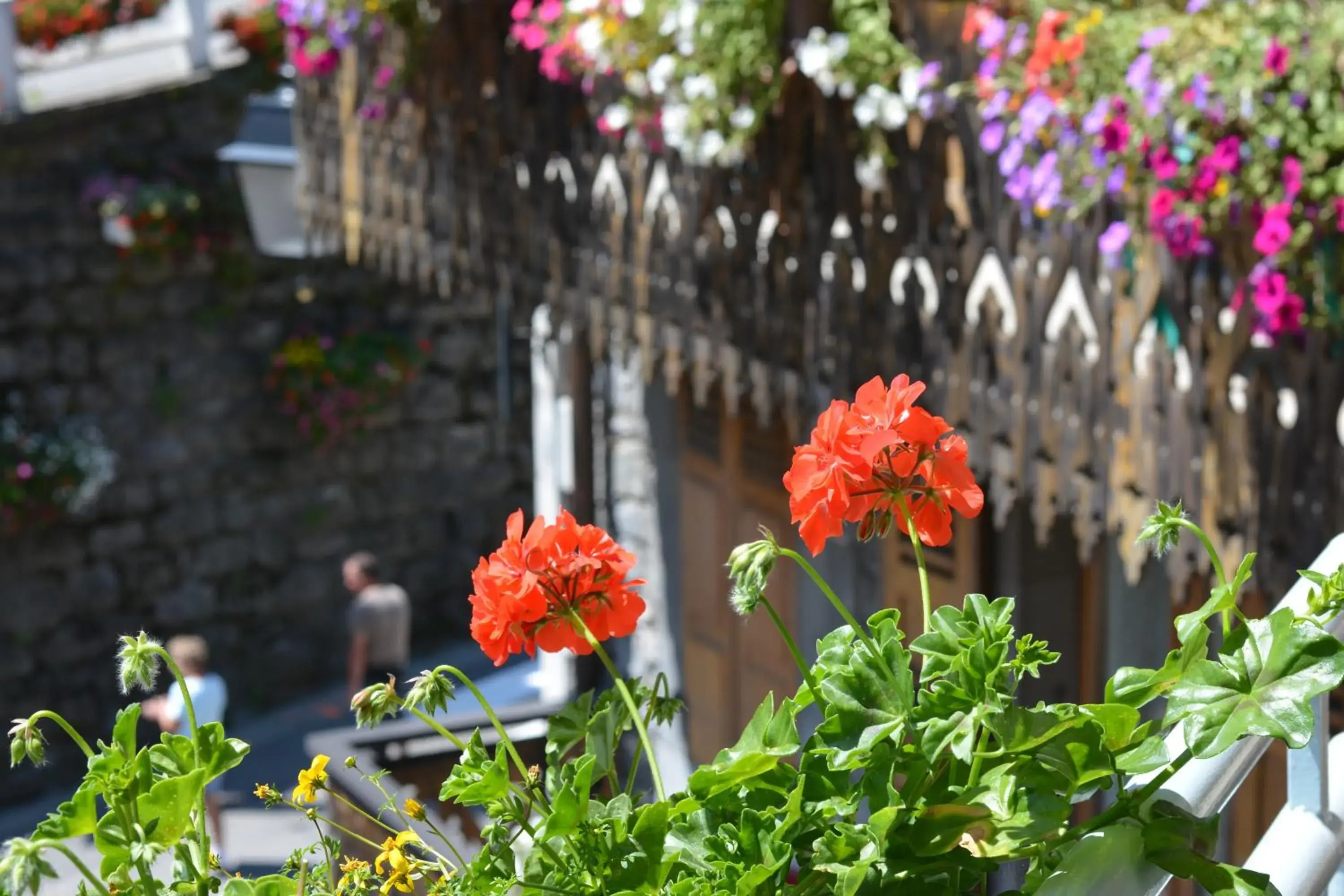 Hotel Rhodos Morzine Hotel Rhodos Morzine